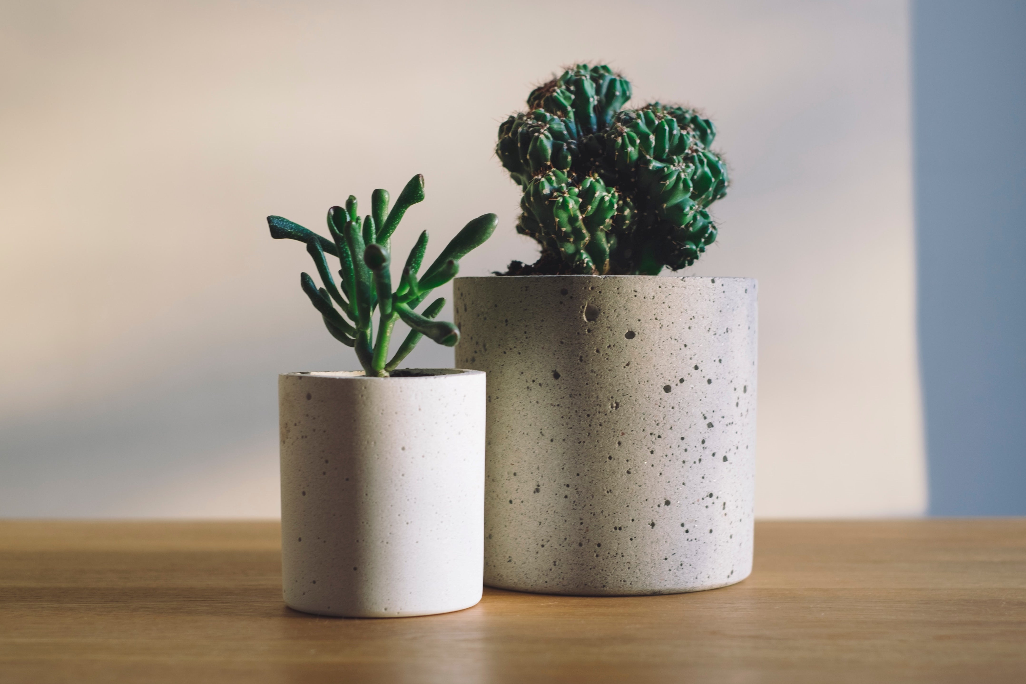 Concrete Planters