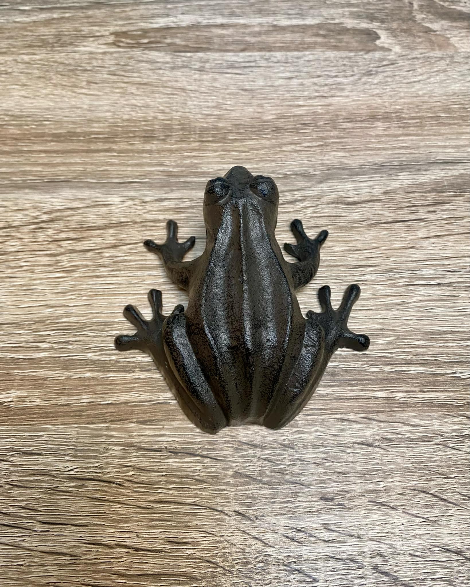 Metal Frog