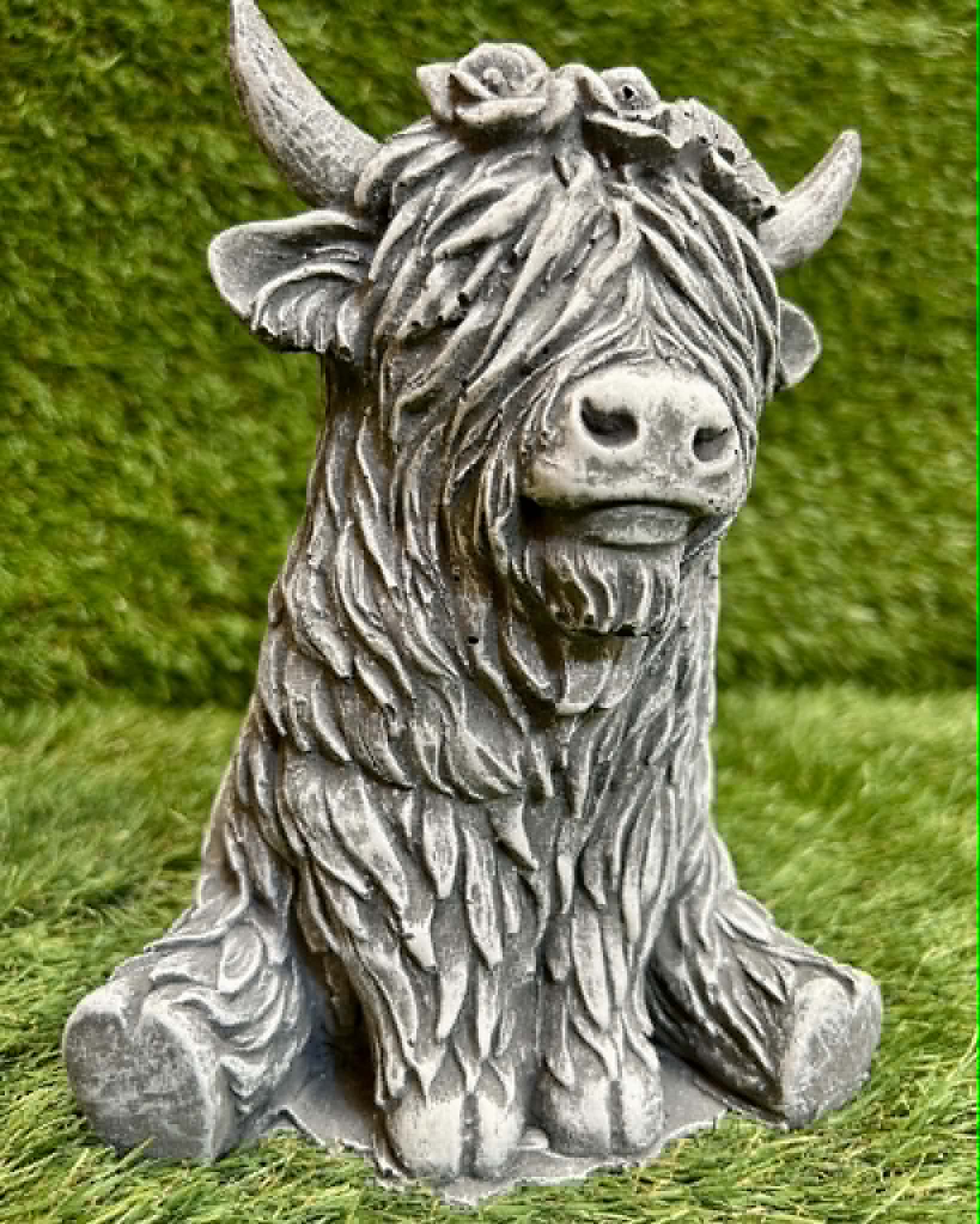 Small Highland Cow