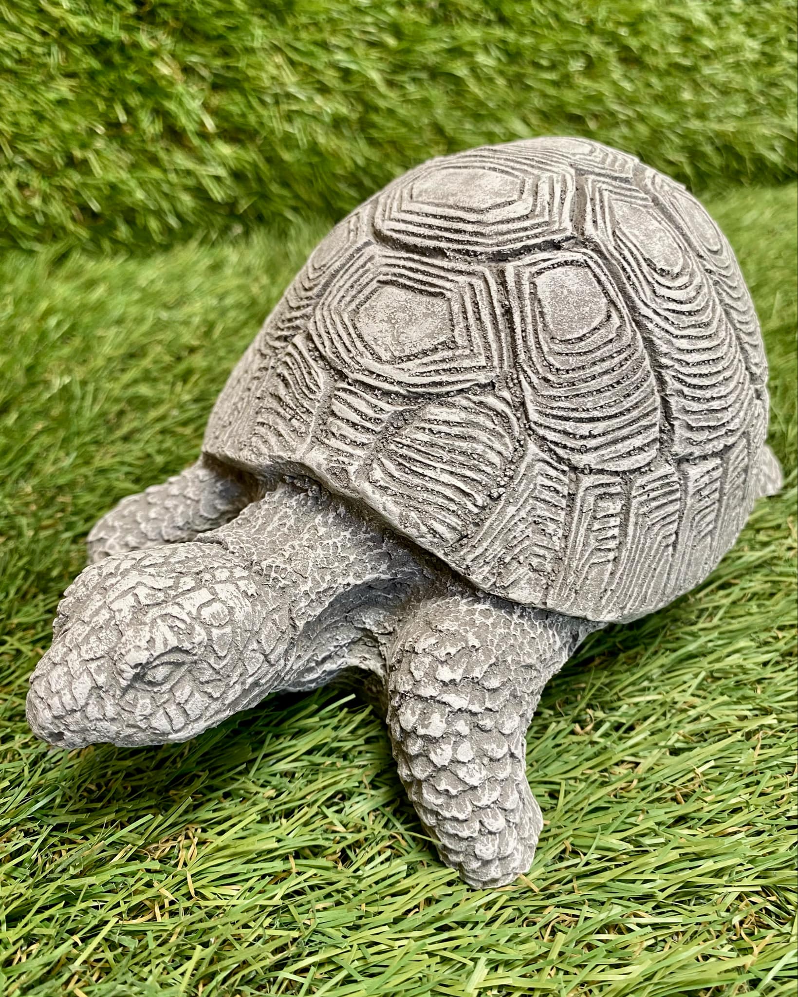 Tortoise