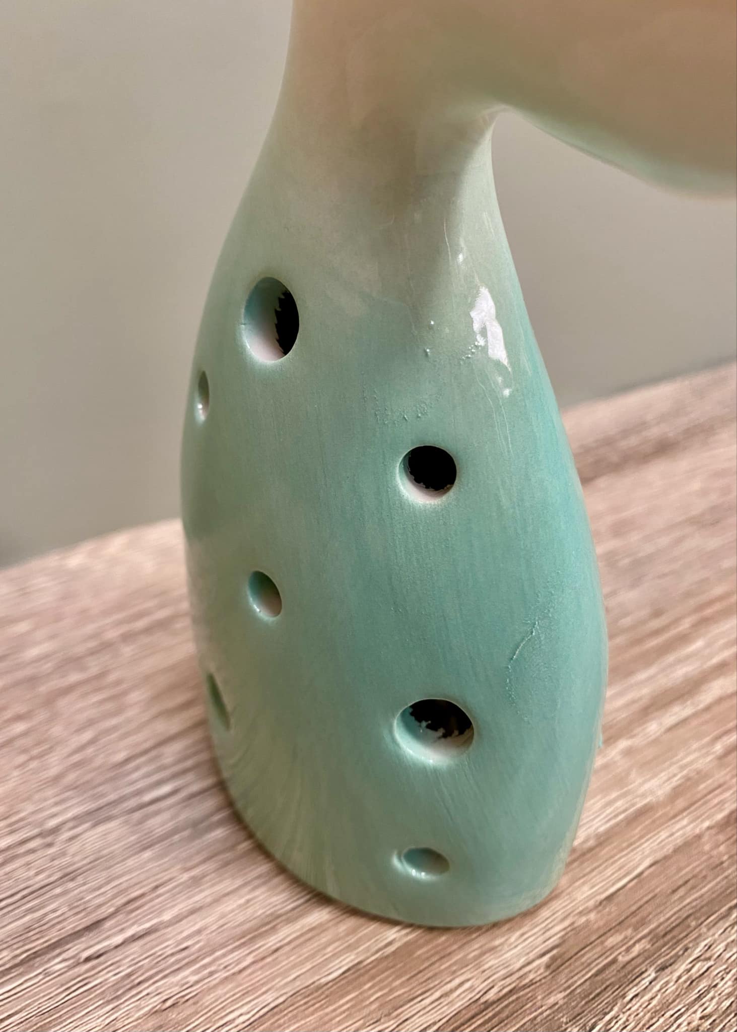 Whale Tail LED Light