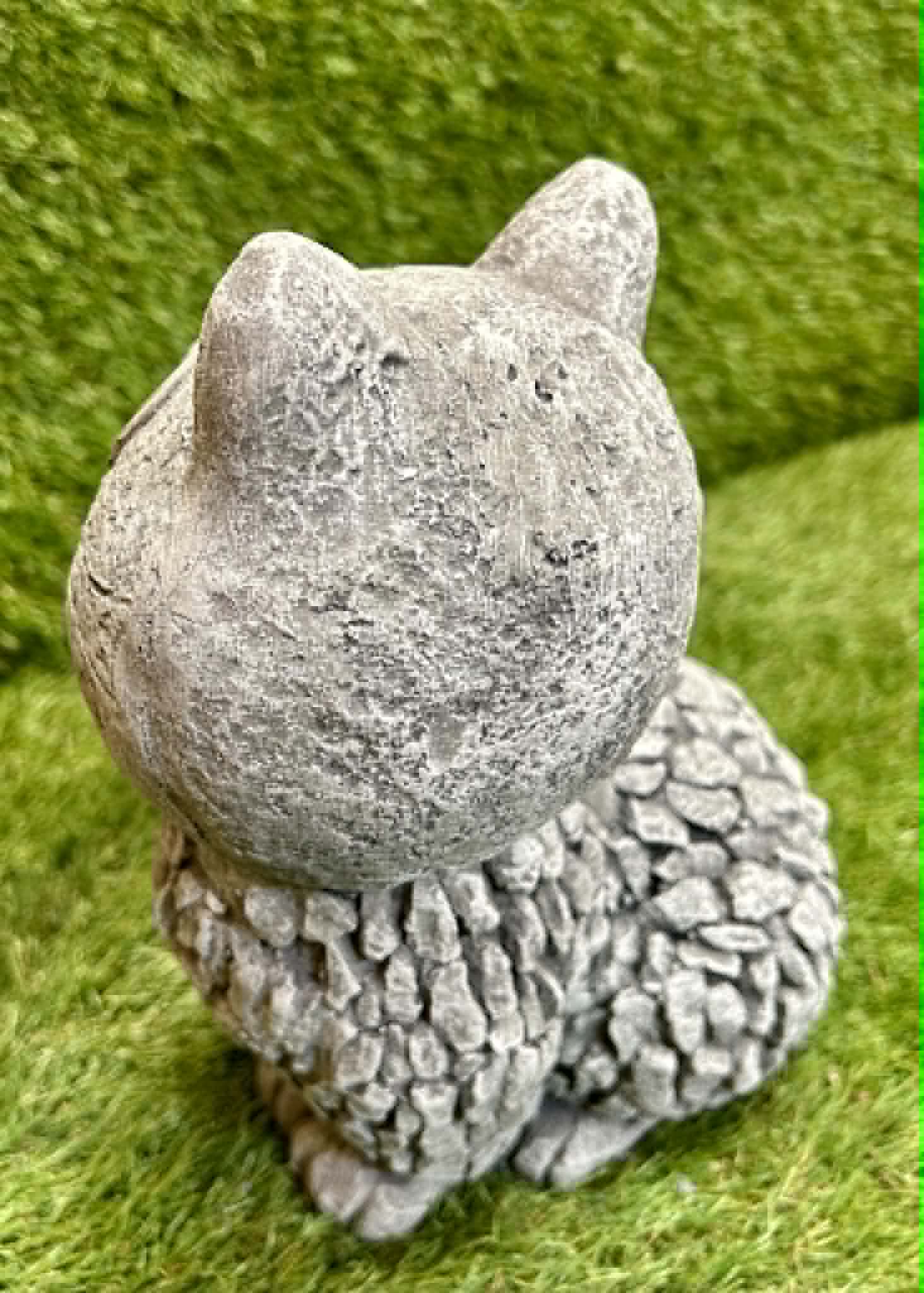 Cat (Big Eyes)
