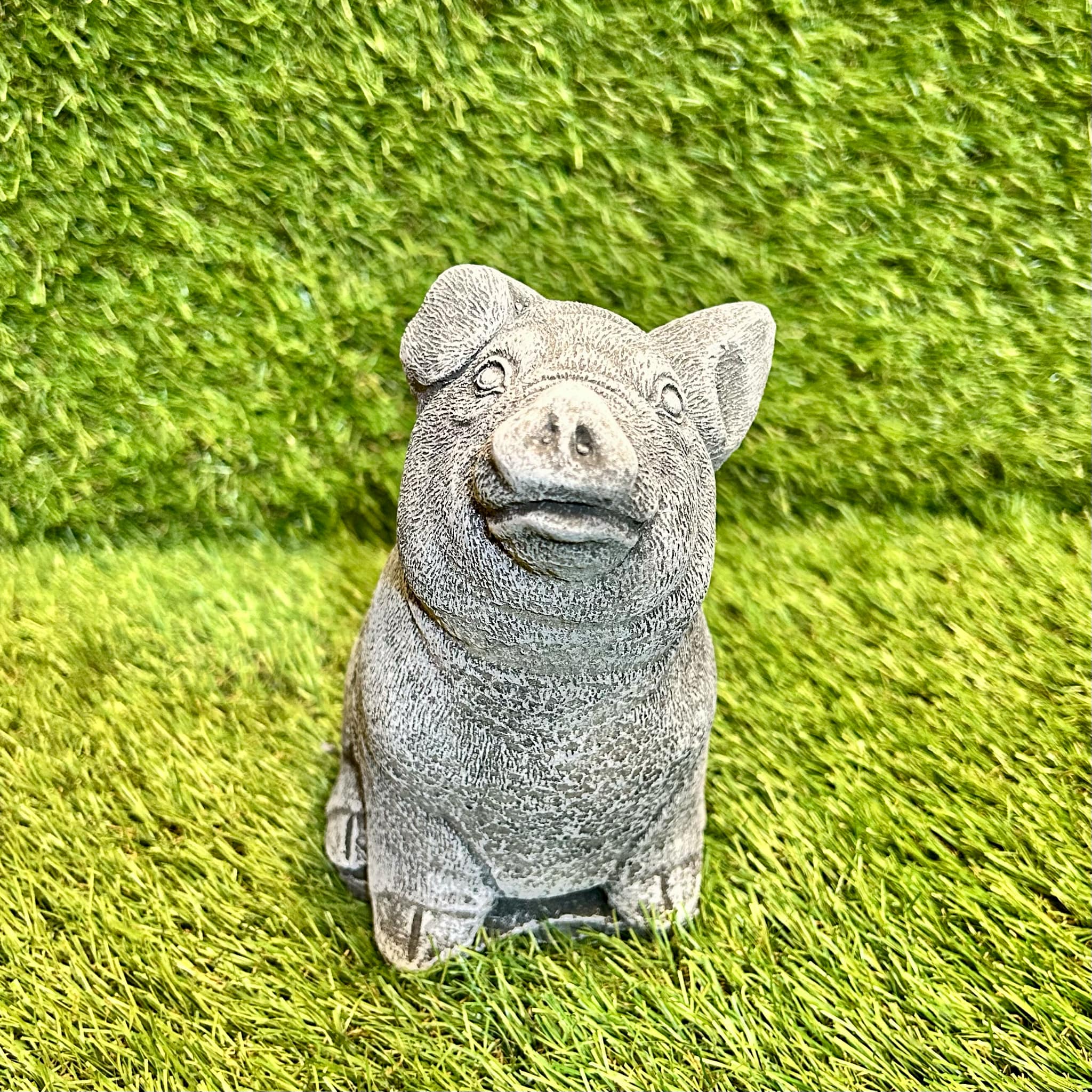 Pig Sitting