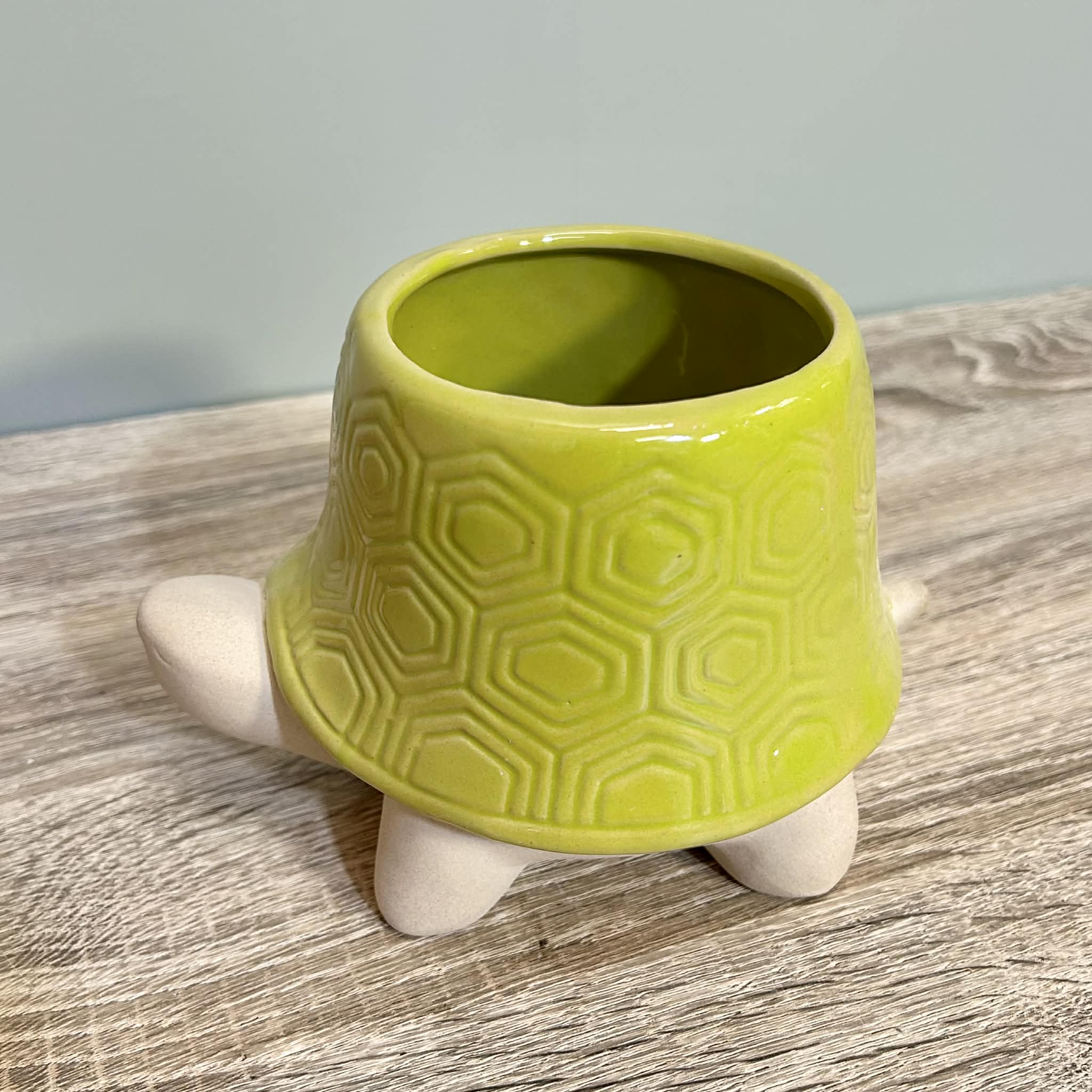 Ceramic Tortoise Planter