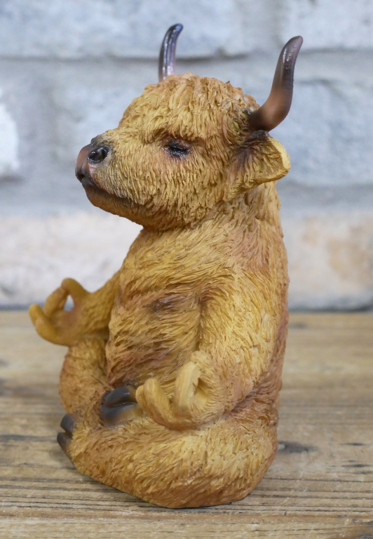 Zen Highland Cow
