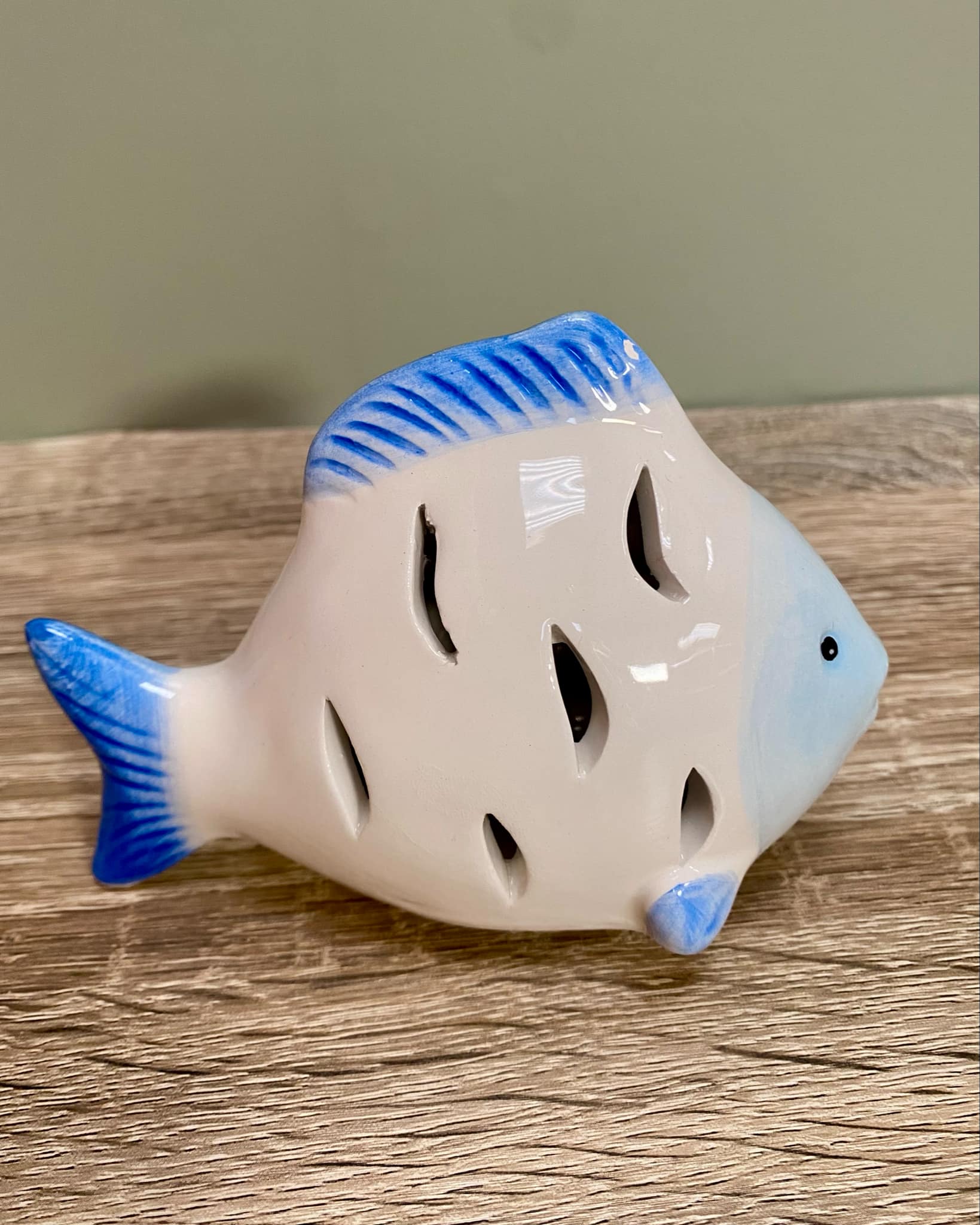 Small Fish LED Light