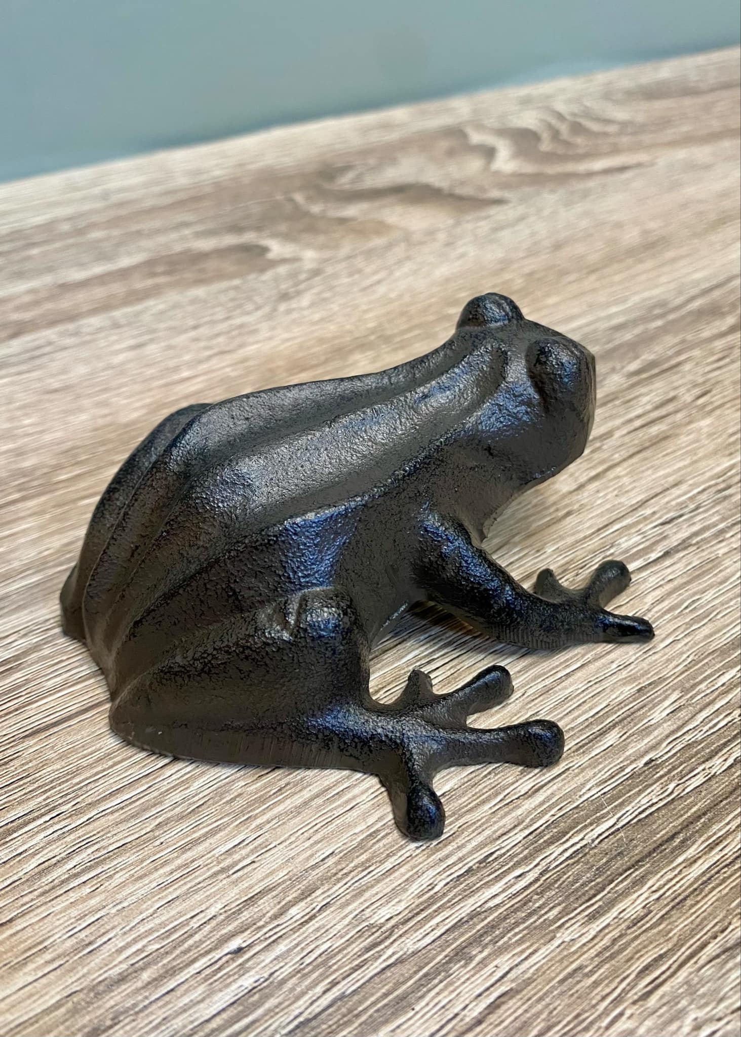 Metal Frog