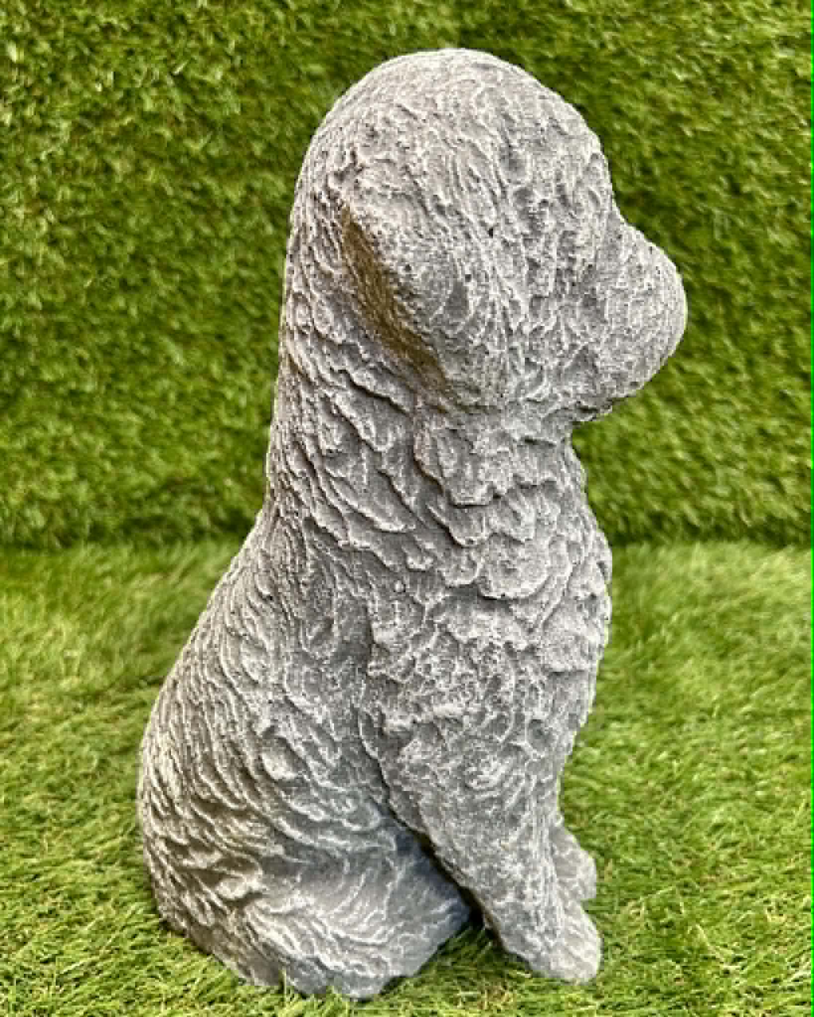 Cockapoo