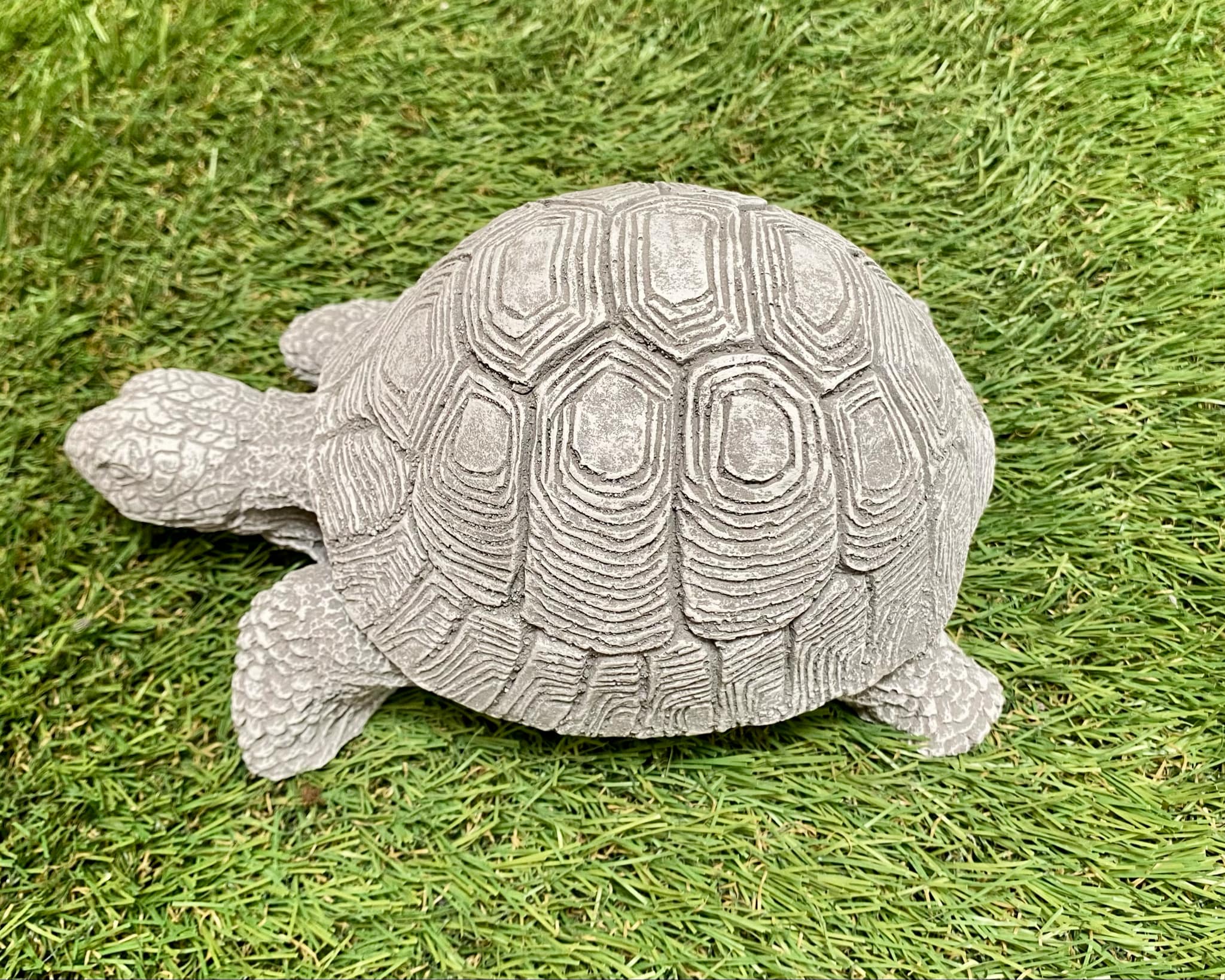 Tortoise