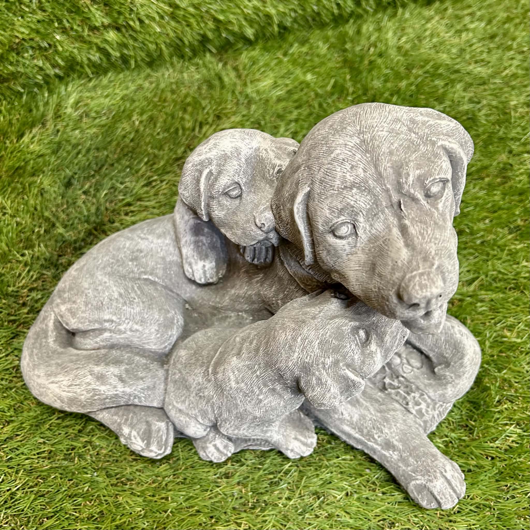 Dog With Puppies