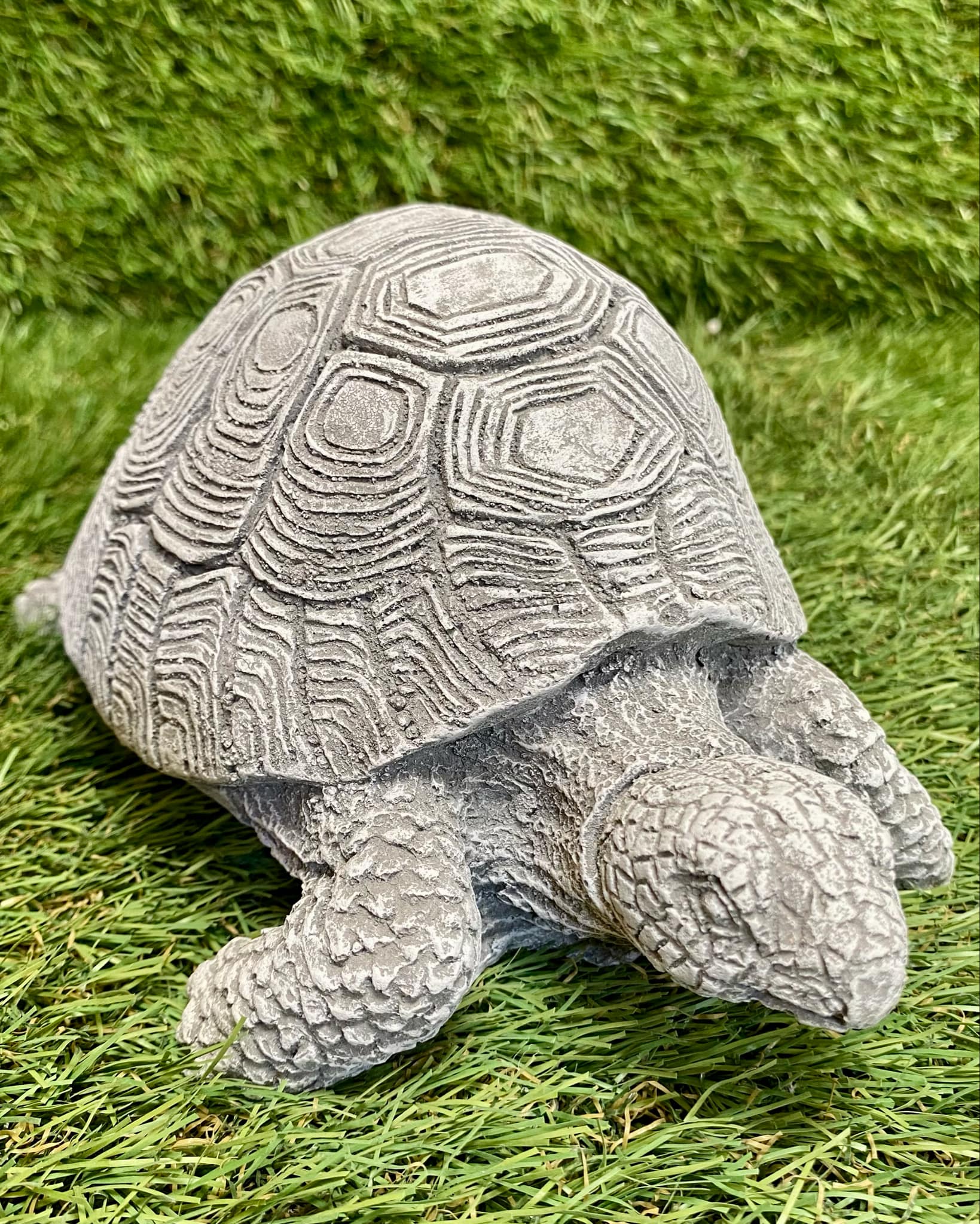 Tortoise