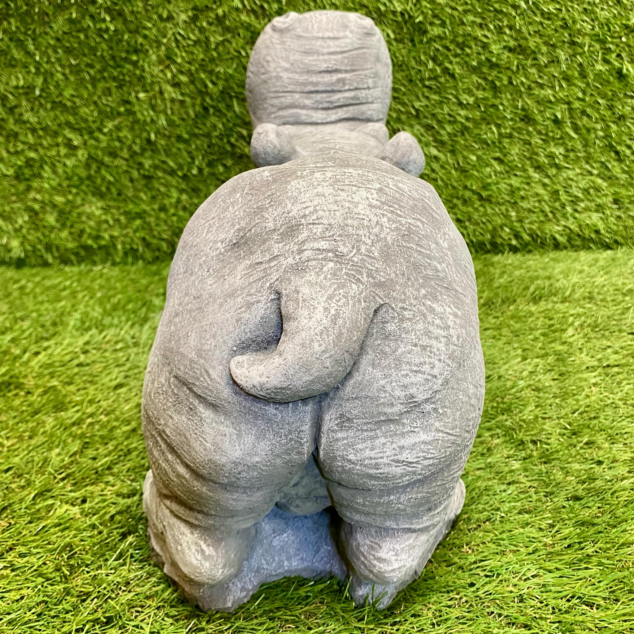 Large Hippo