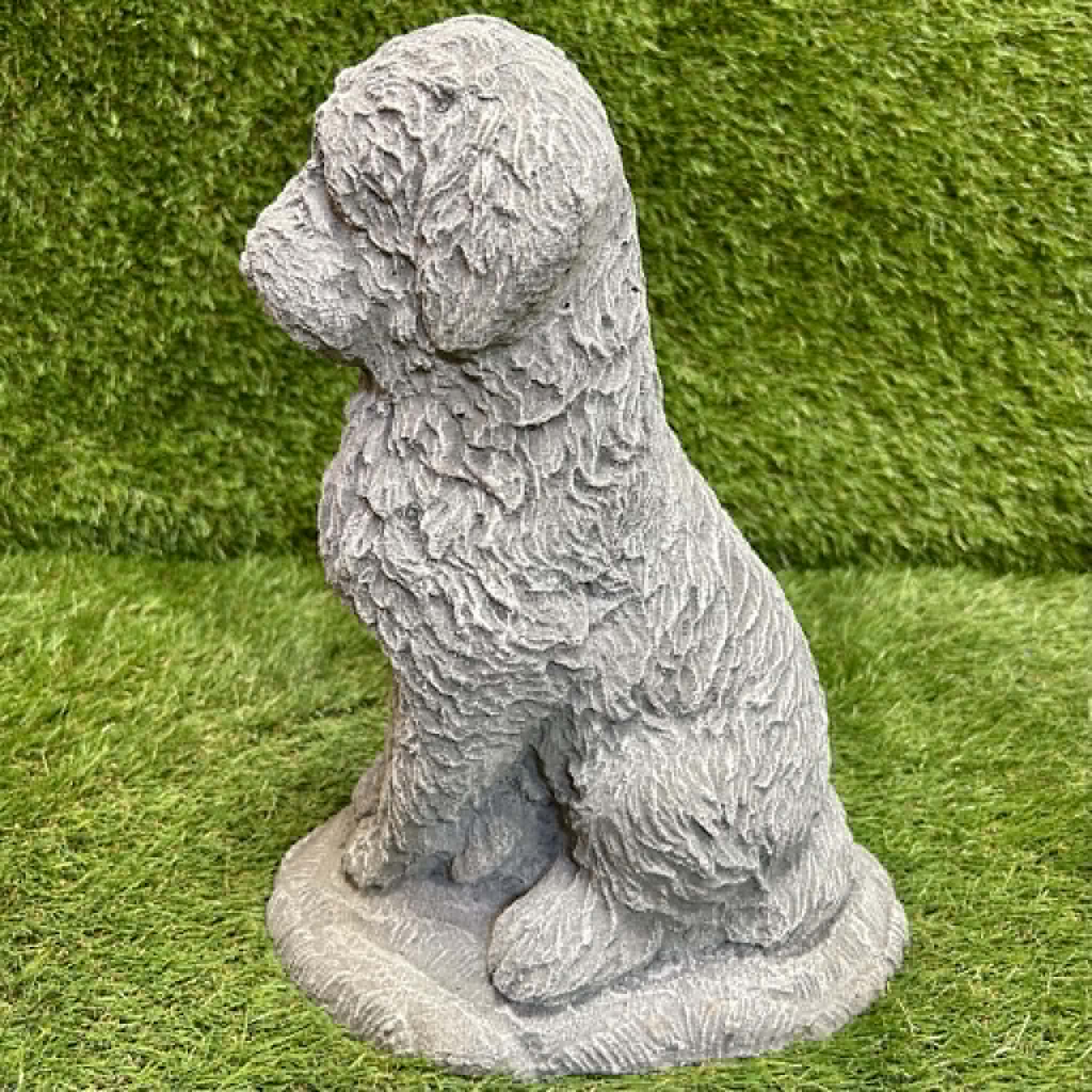 Cockapoo