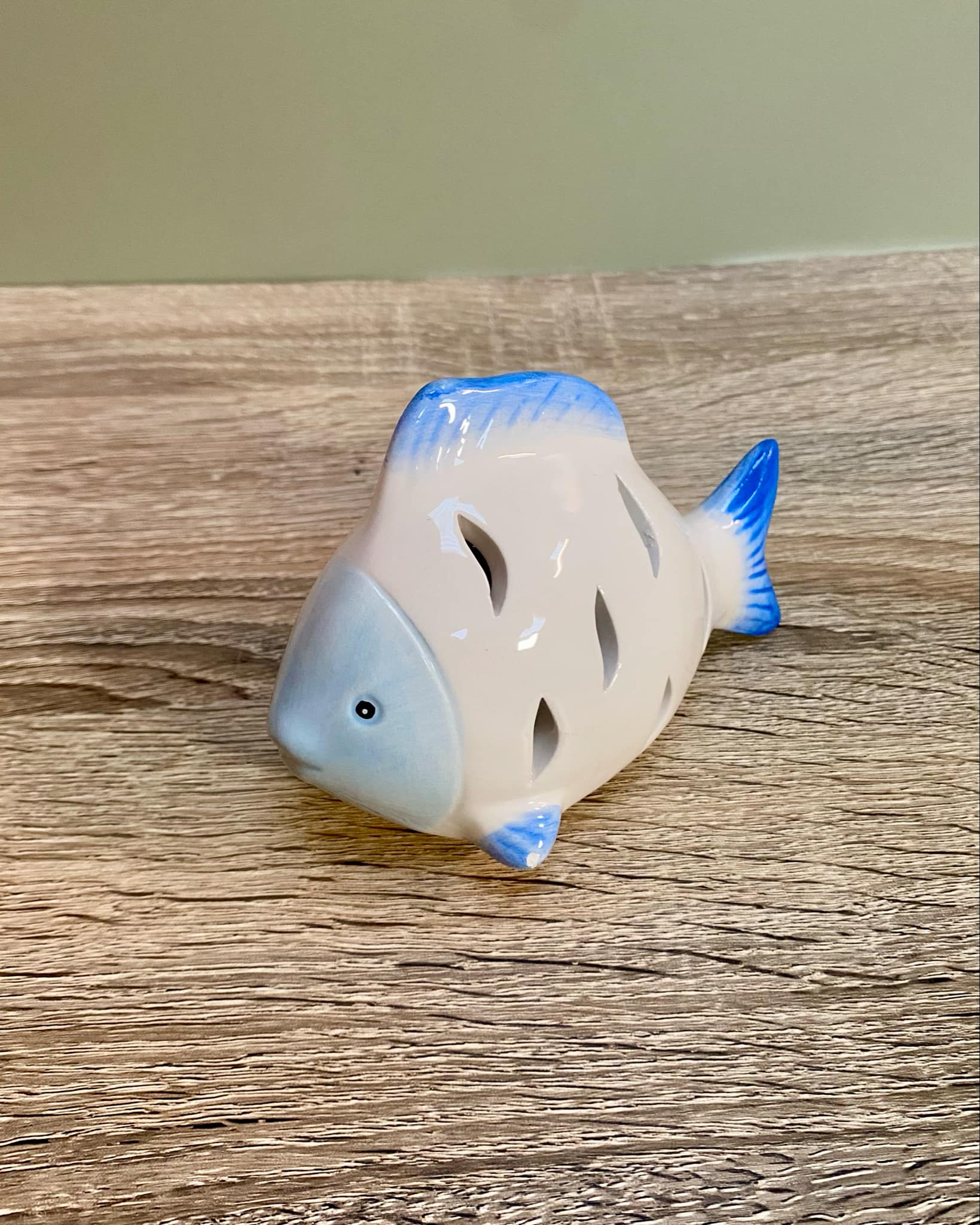 Small Fish LED Light