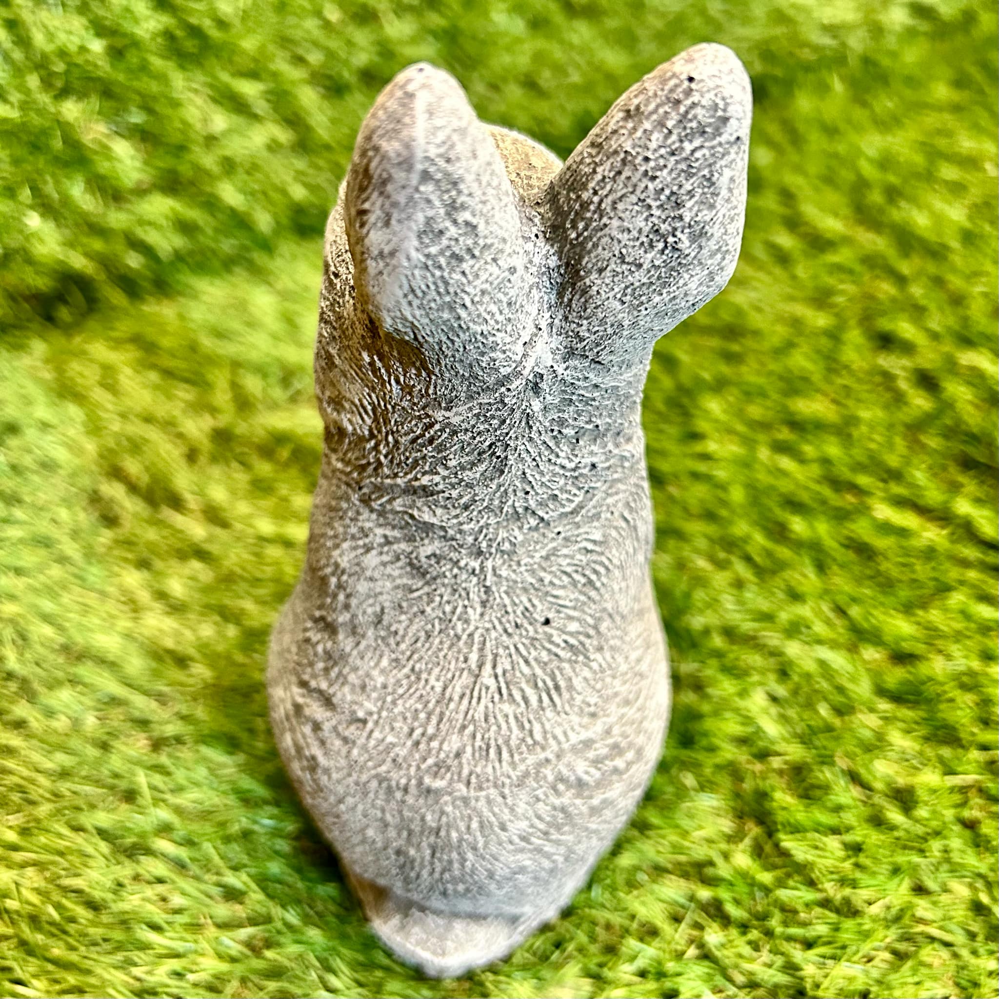 Rabbit Stood Up