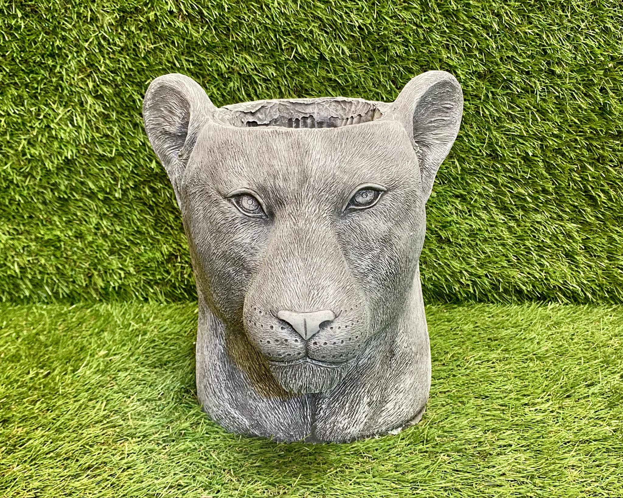 Lion Head Planter