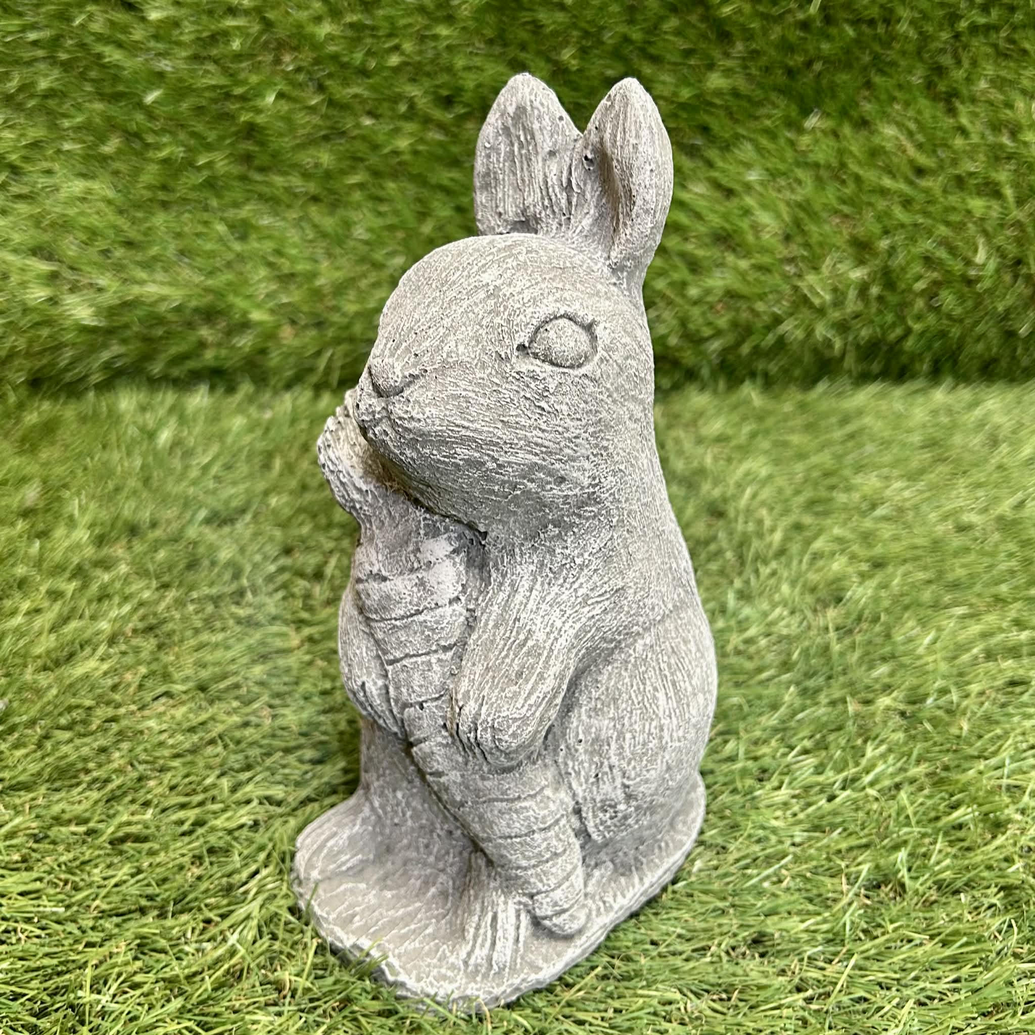 Rabbit With Carrot