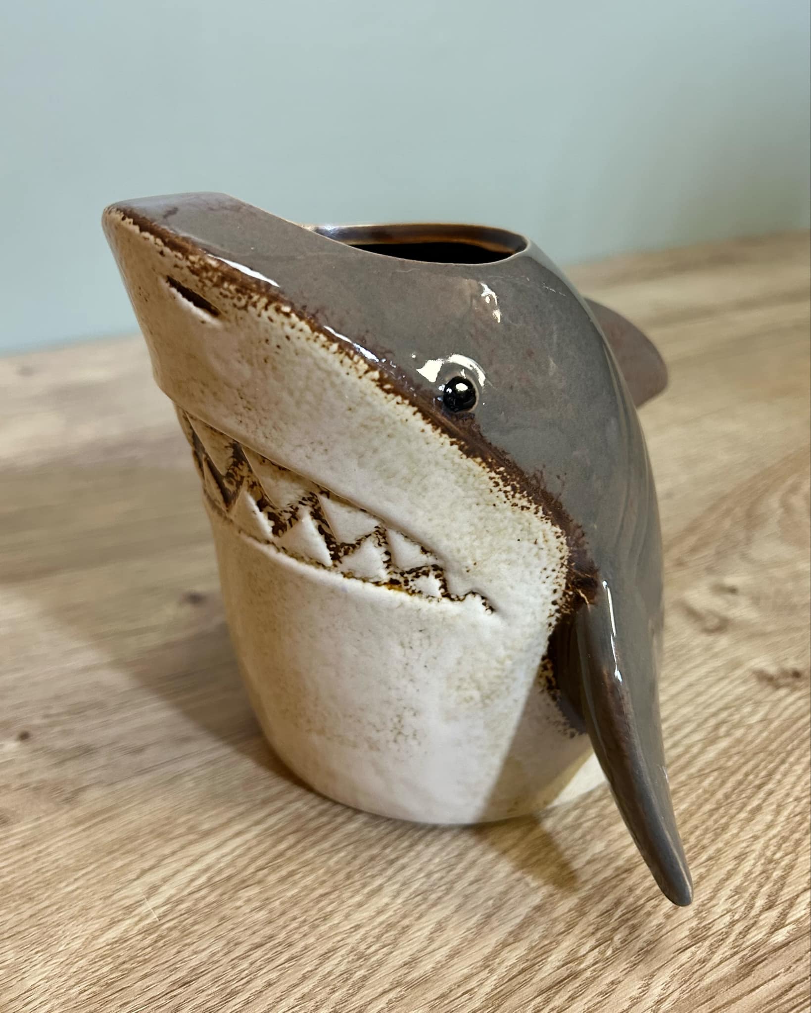 Shark Planter