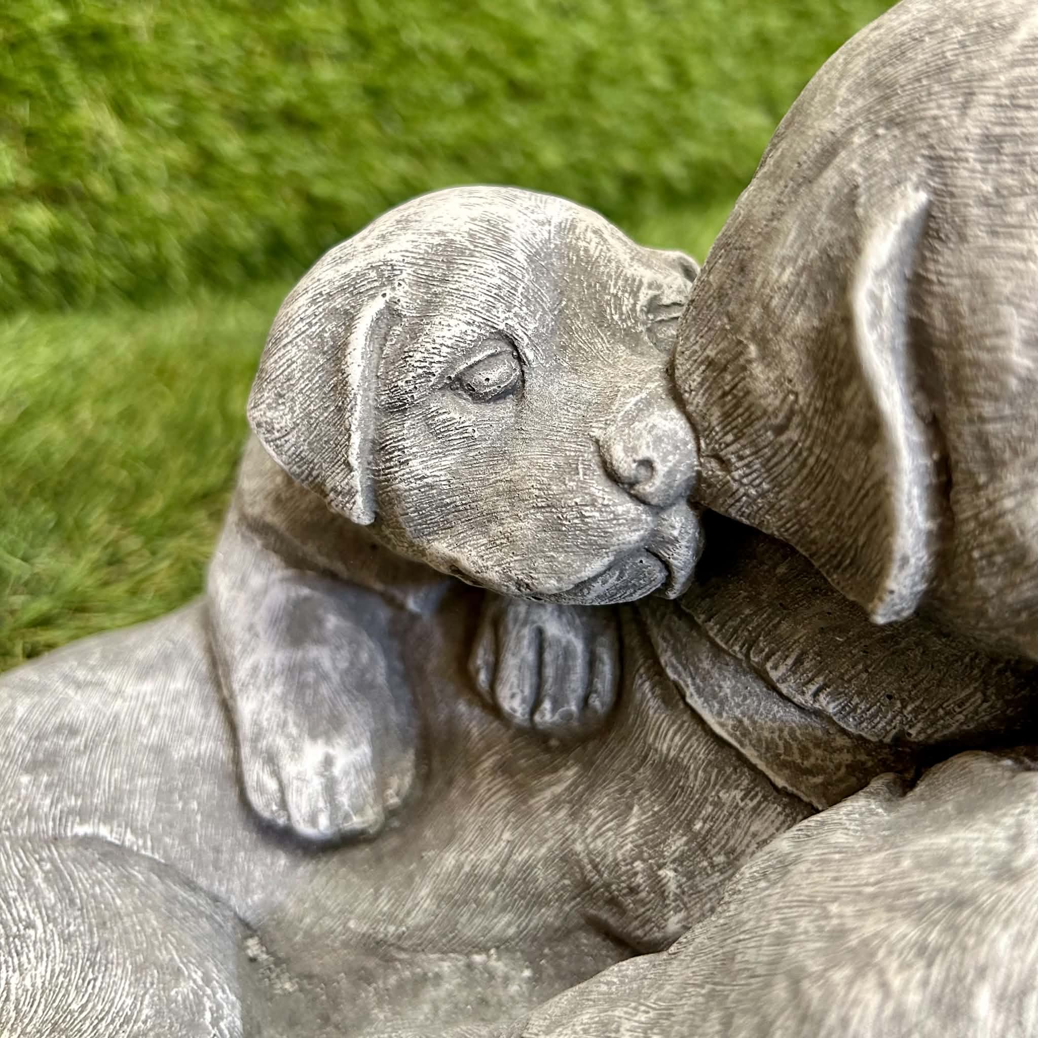 Dog With Puppies
