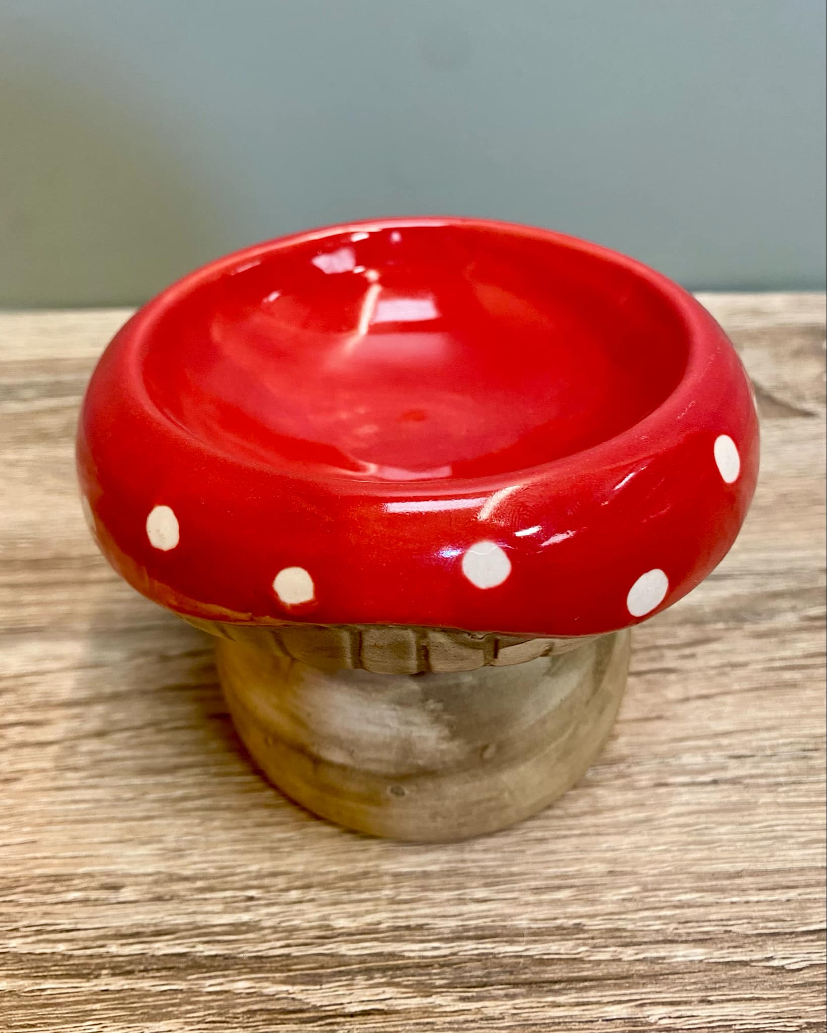 Ceramic Toadstool Wax Melt Burner