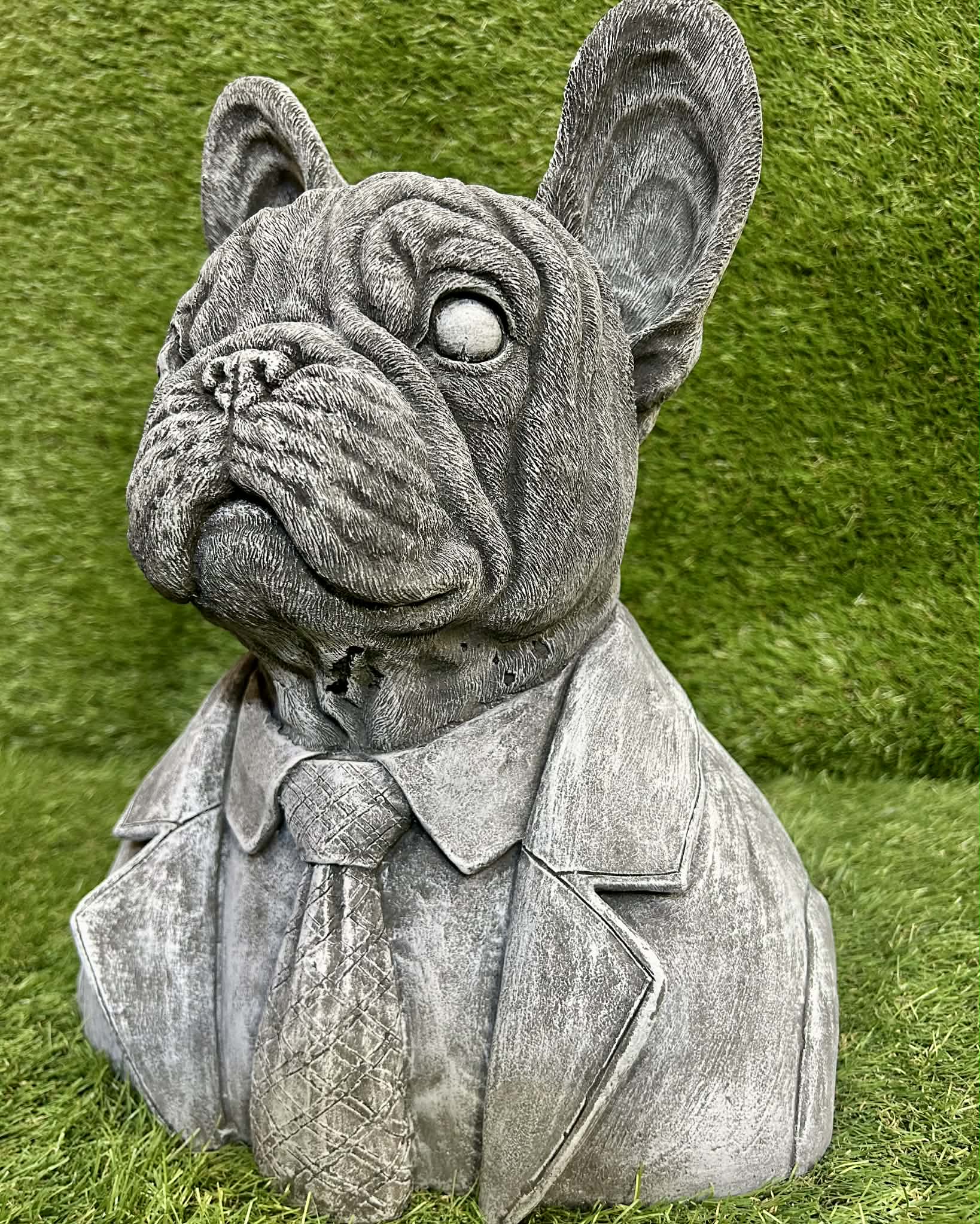 Large French Bulldog Bust