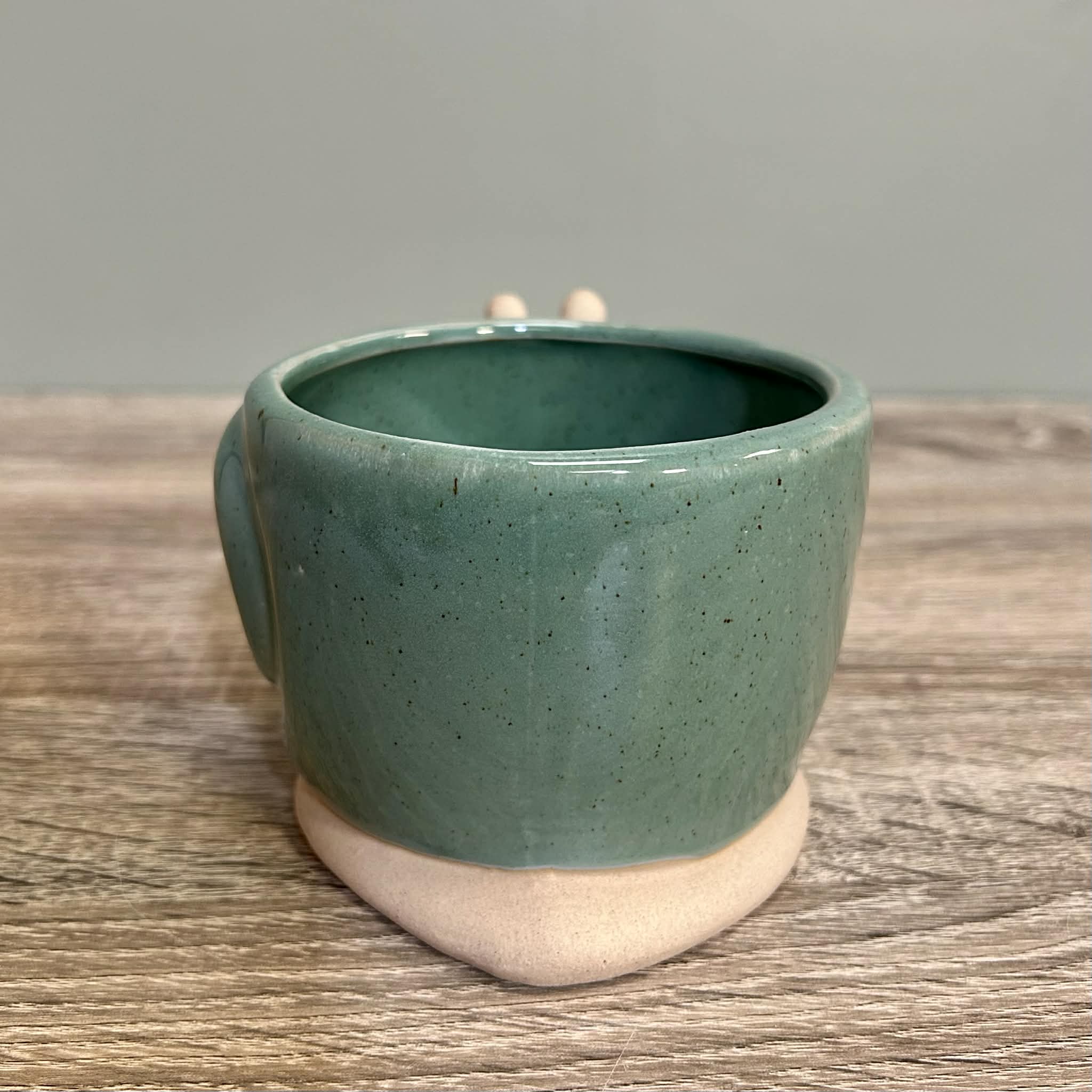 Ceramic Snail Planter