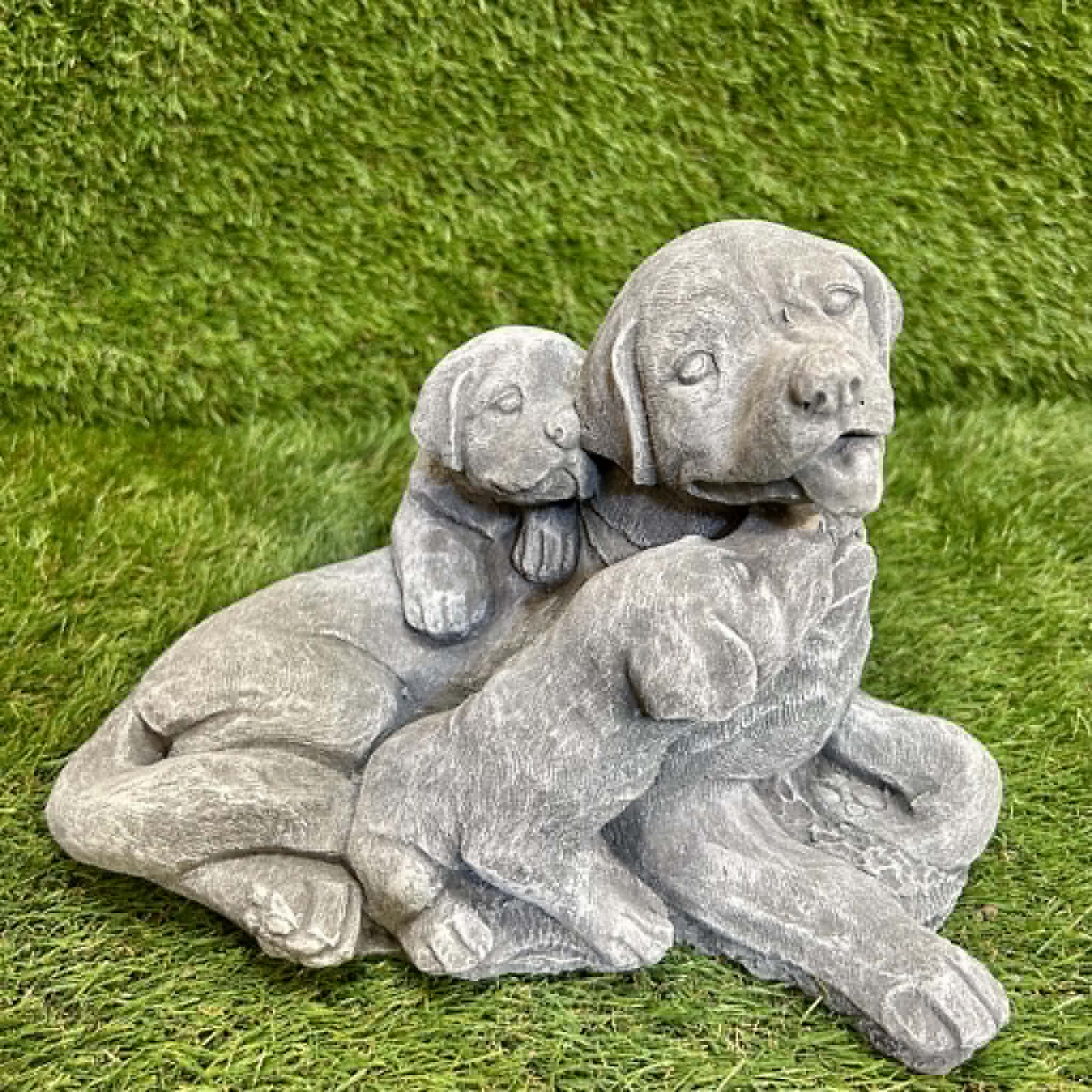 Dog With Puppies