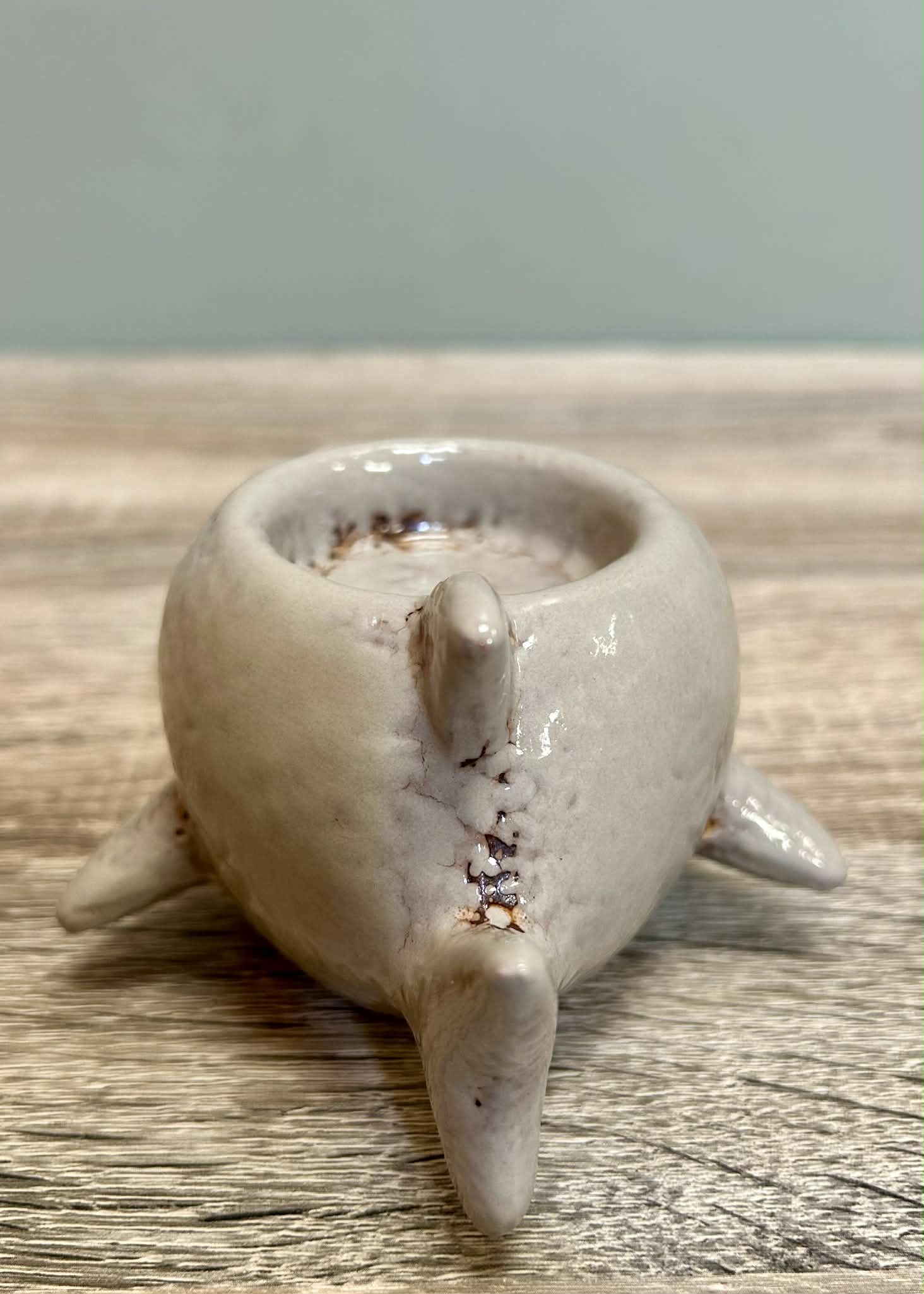 Small Shark Tealight Holder