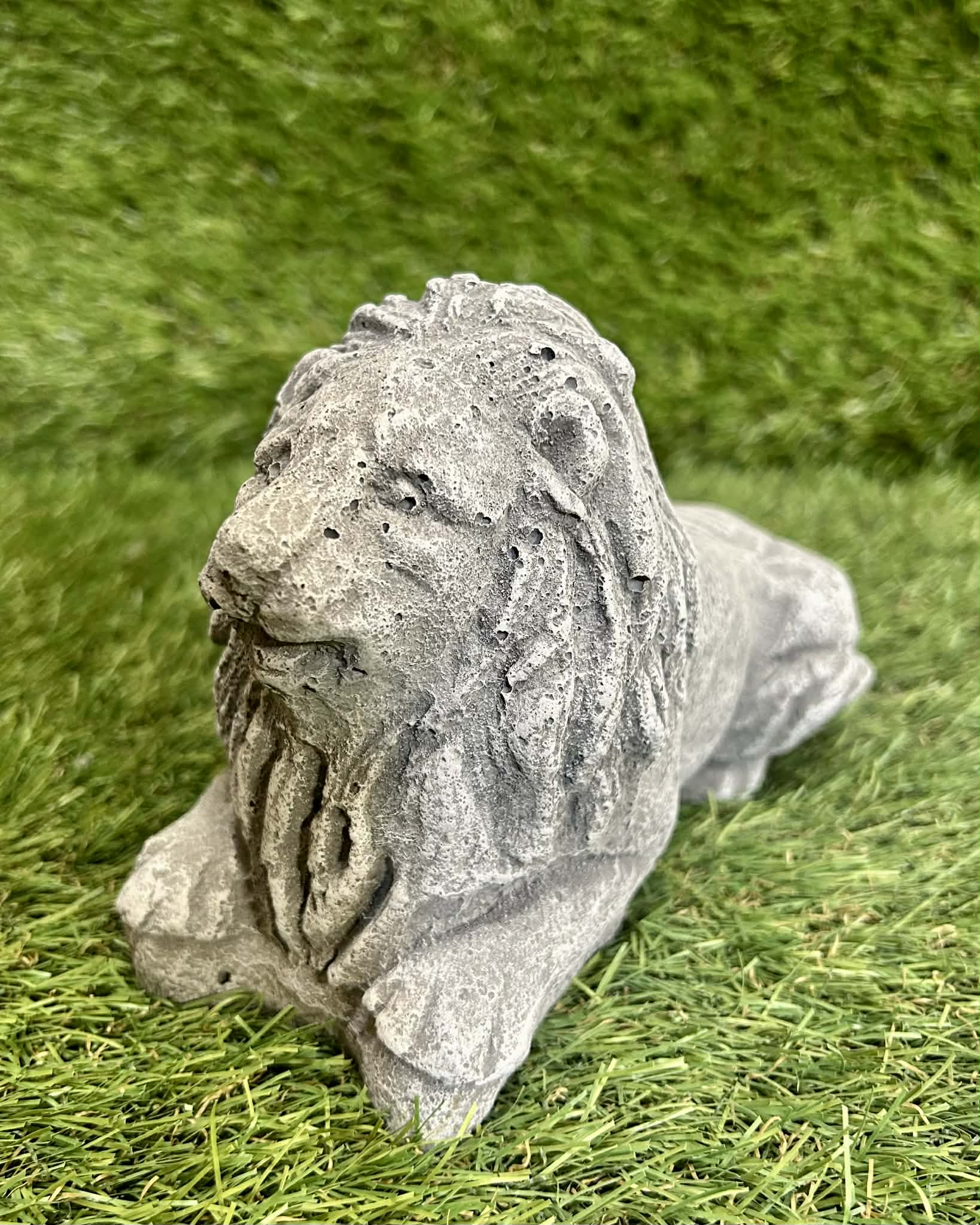 Small Lion