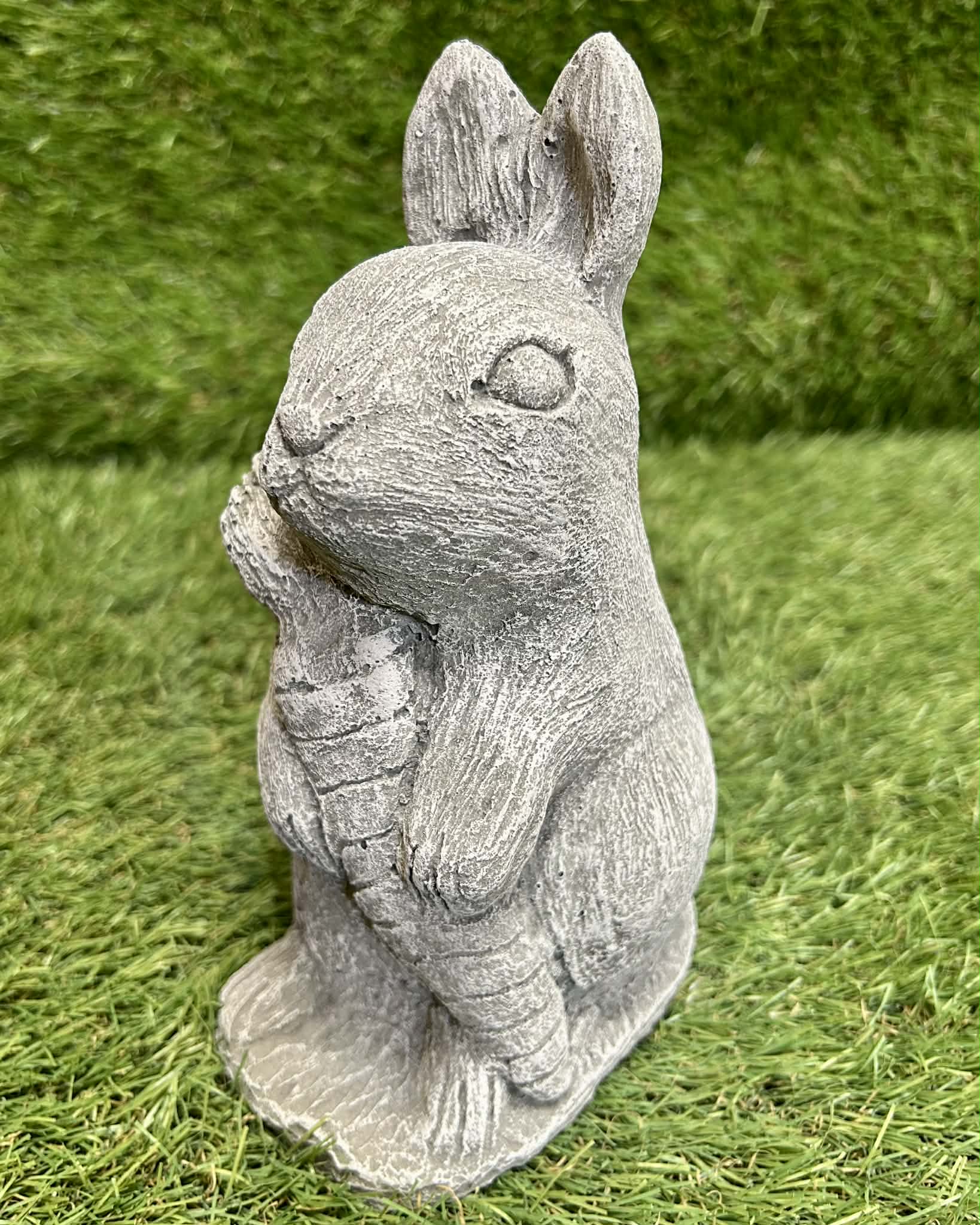 Rabbit With Carrot