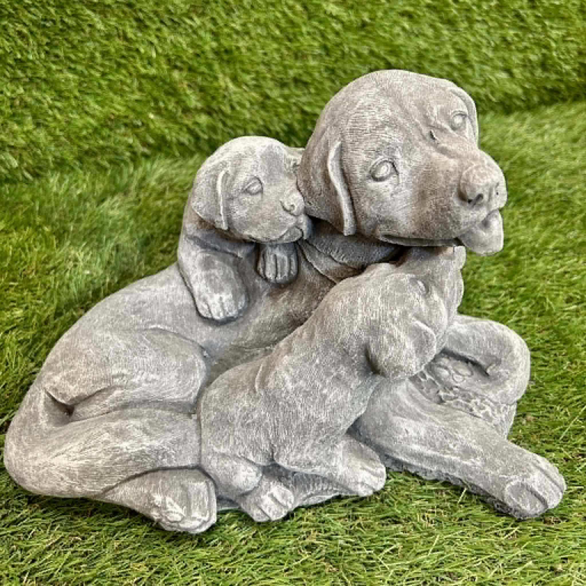 Dog With Puppies