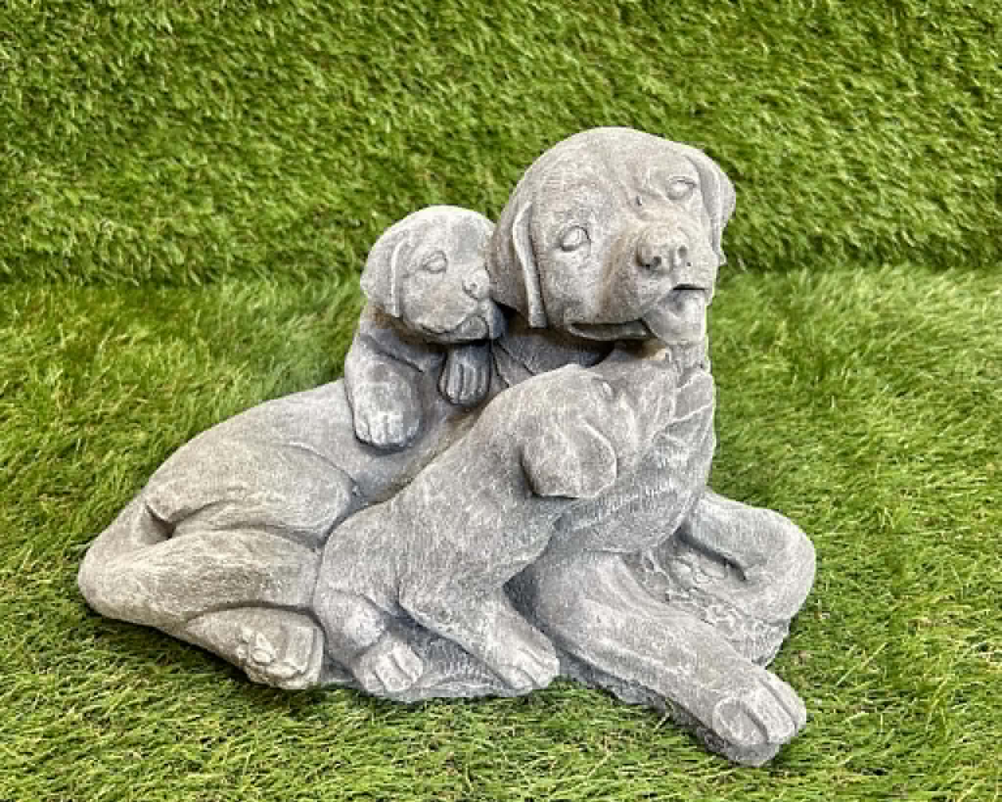 Dog With Puppies