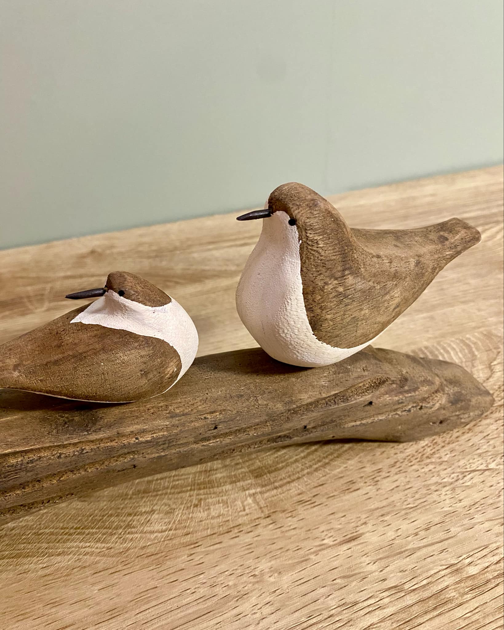 Birds On Wooden Branch