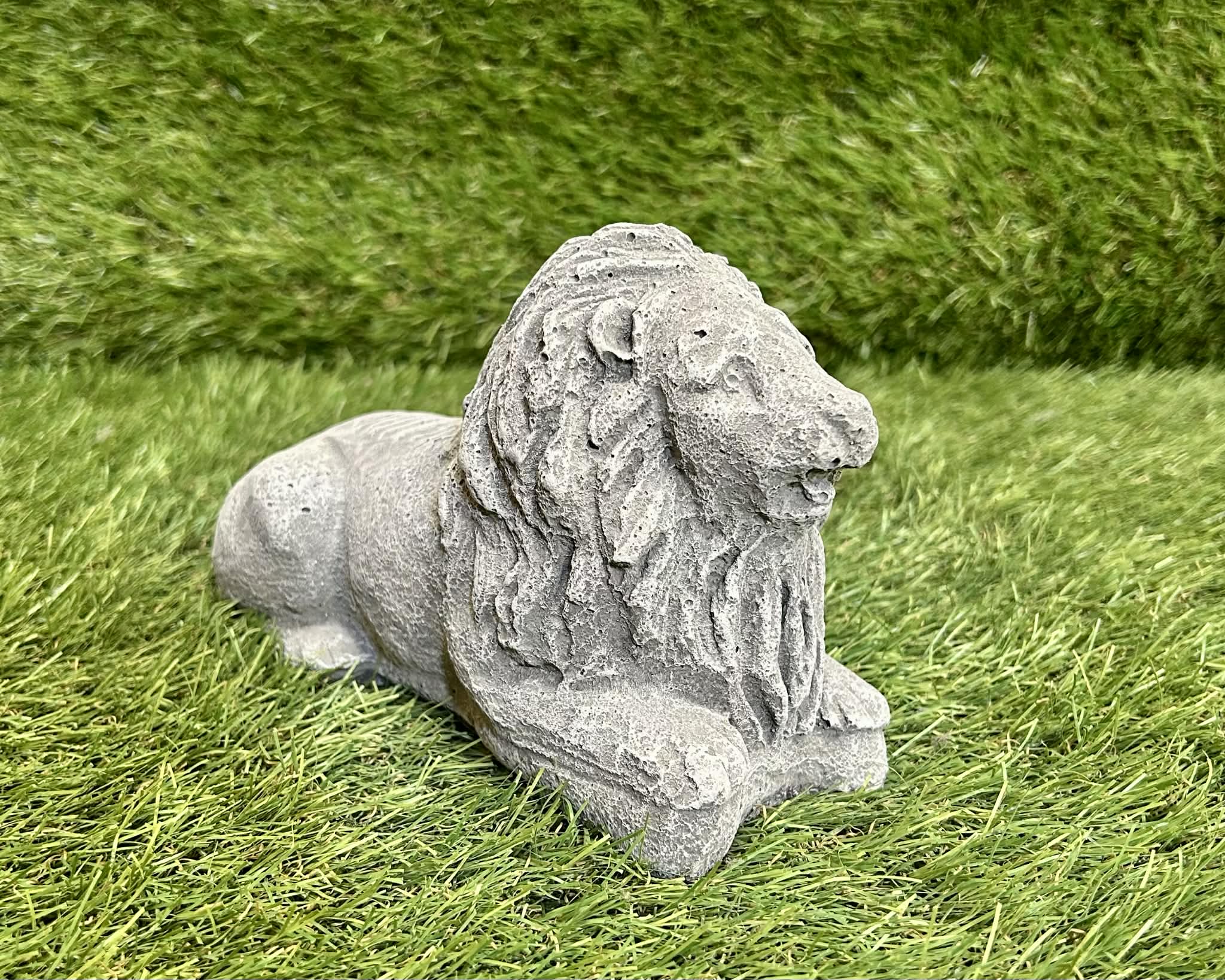 Small Lion