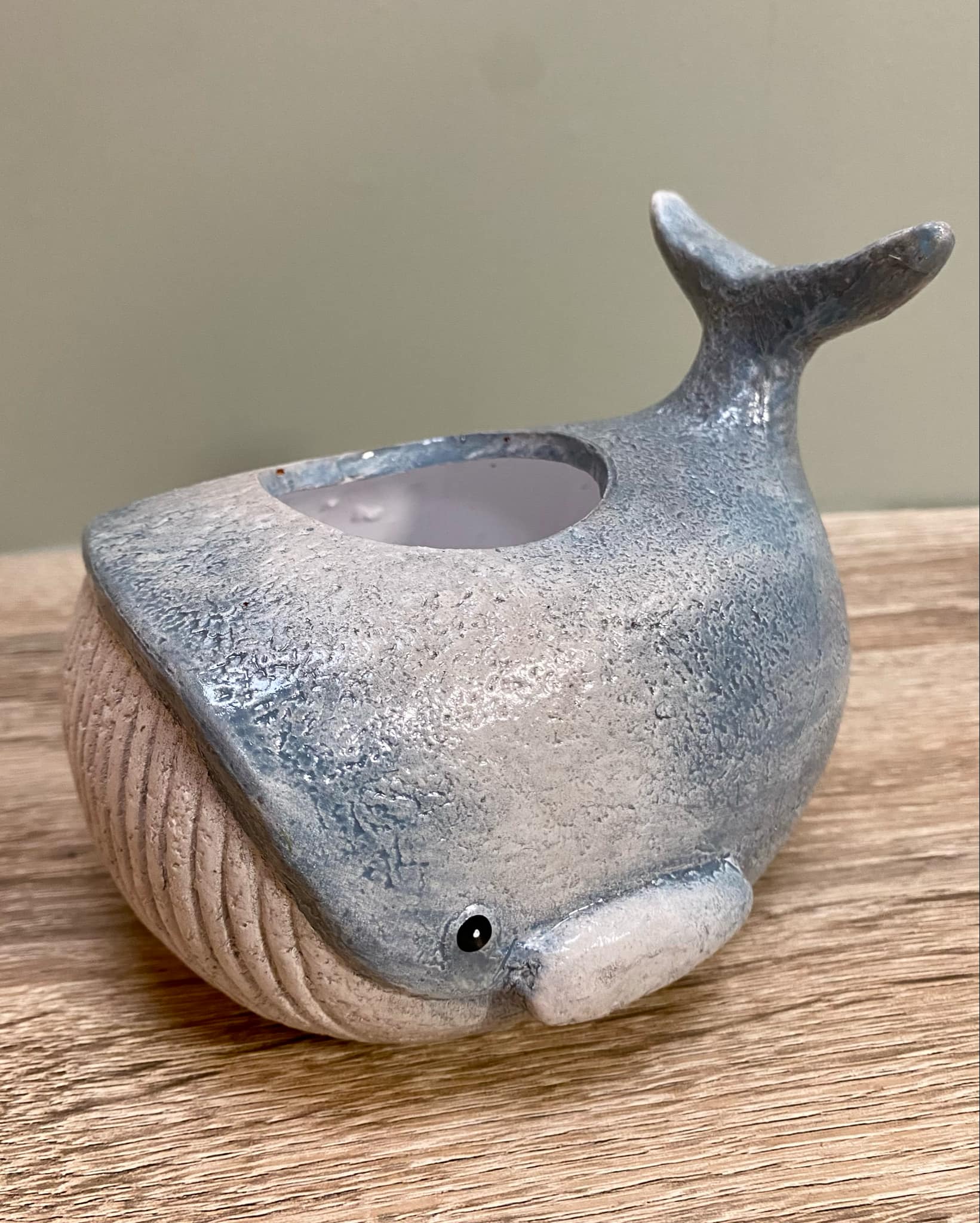 Whale Planter