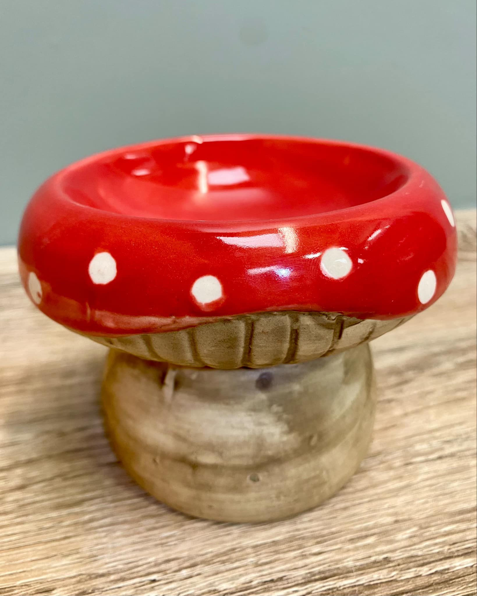 Ceramic Toadstool Wax Melt Burner