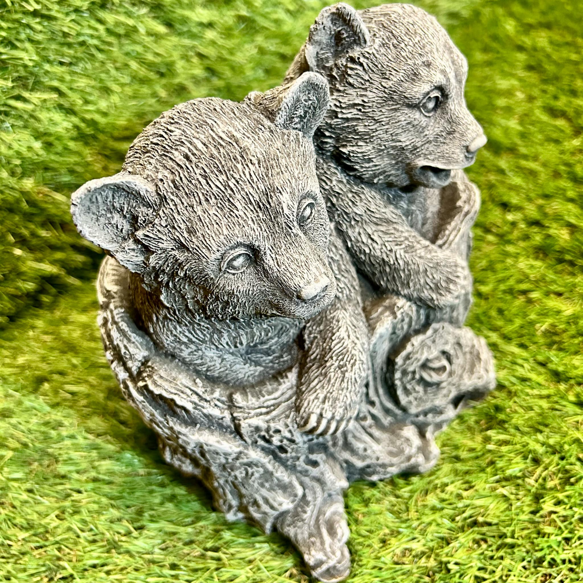 Two Baby Bears In Stump