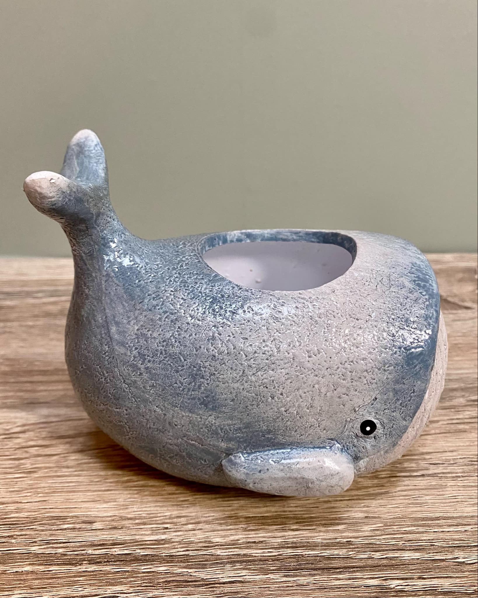 Whale Planter