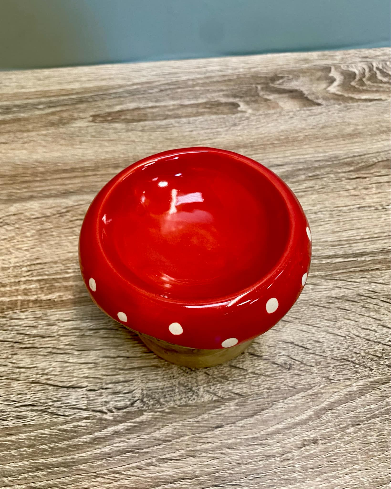 Ceramic Toadstool Wax Melt Burner