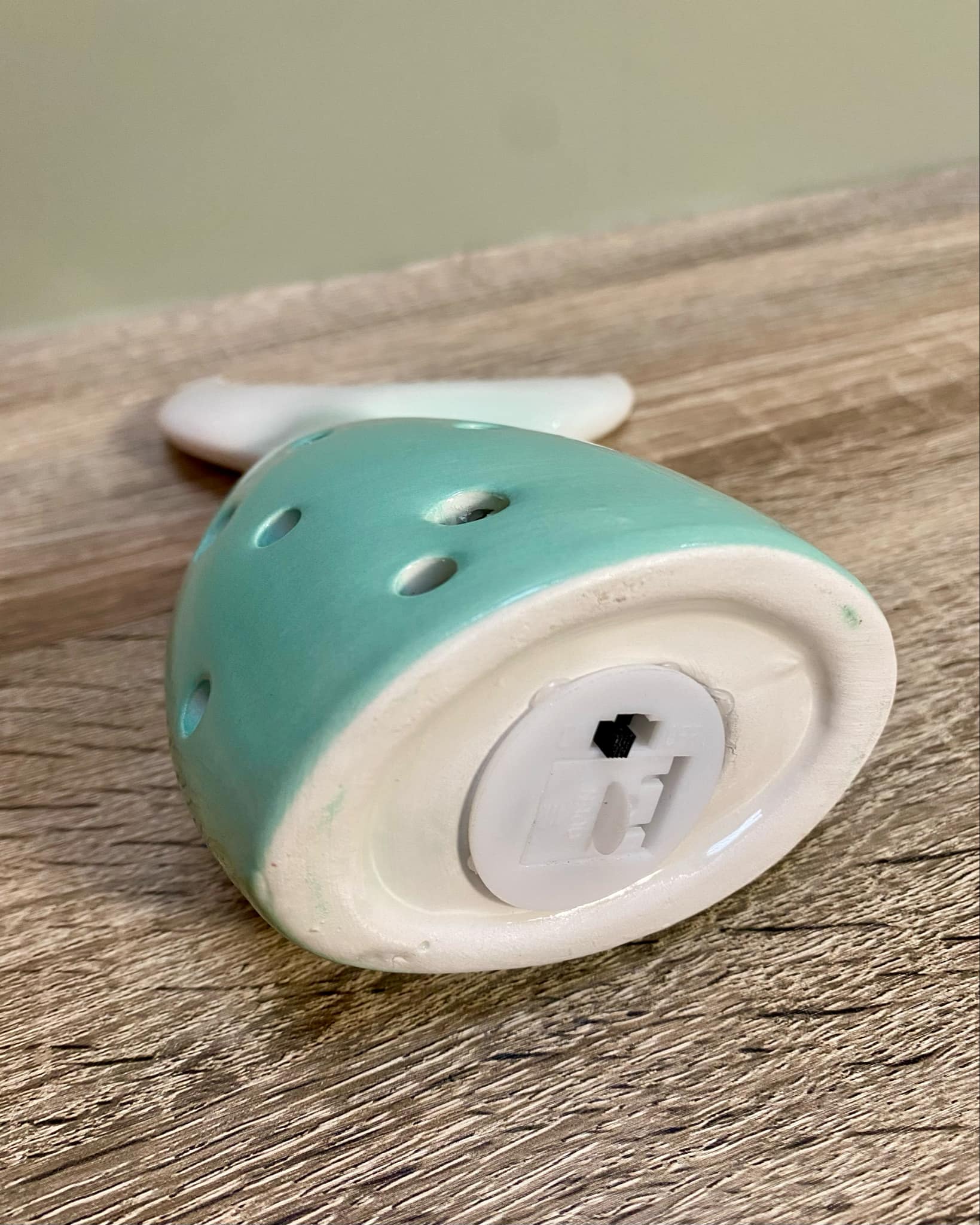 Whale Tail LED Light