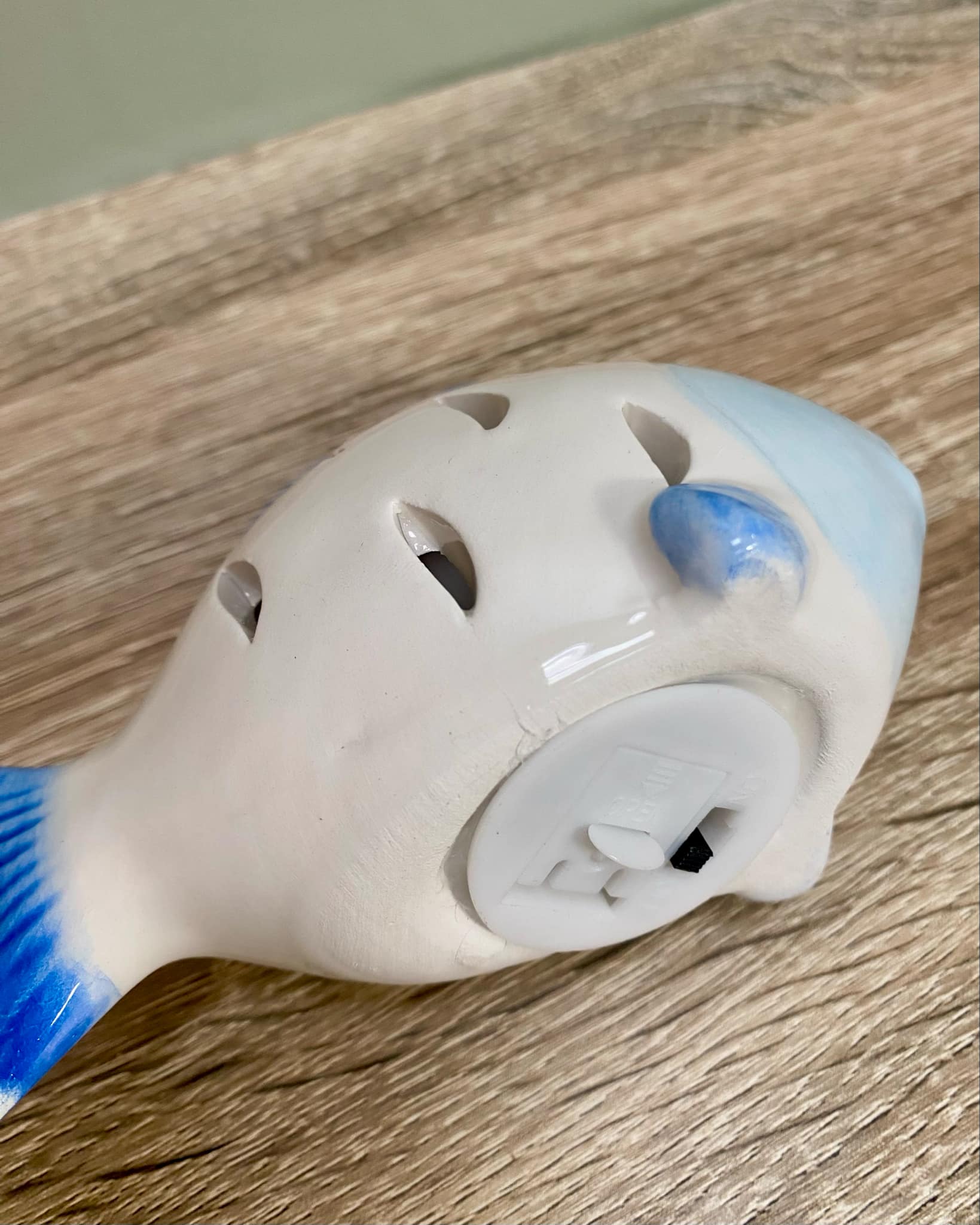 Small Fish LED Light