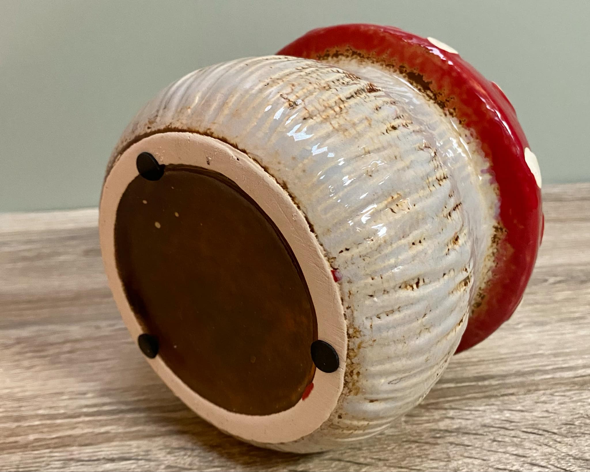 Fairy Toadstool Planter