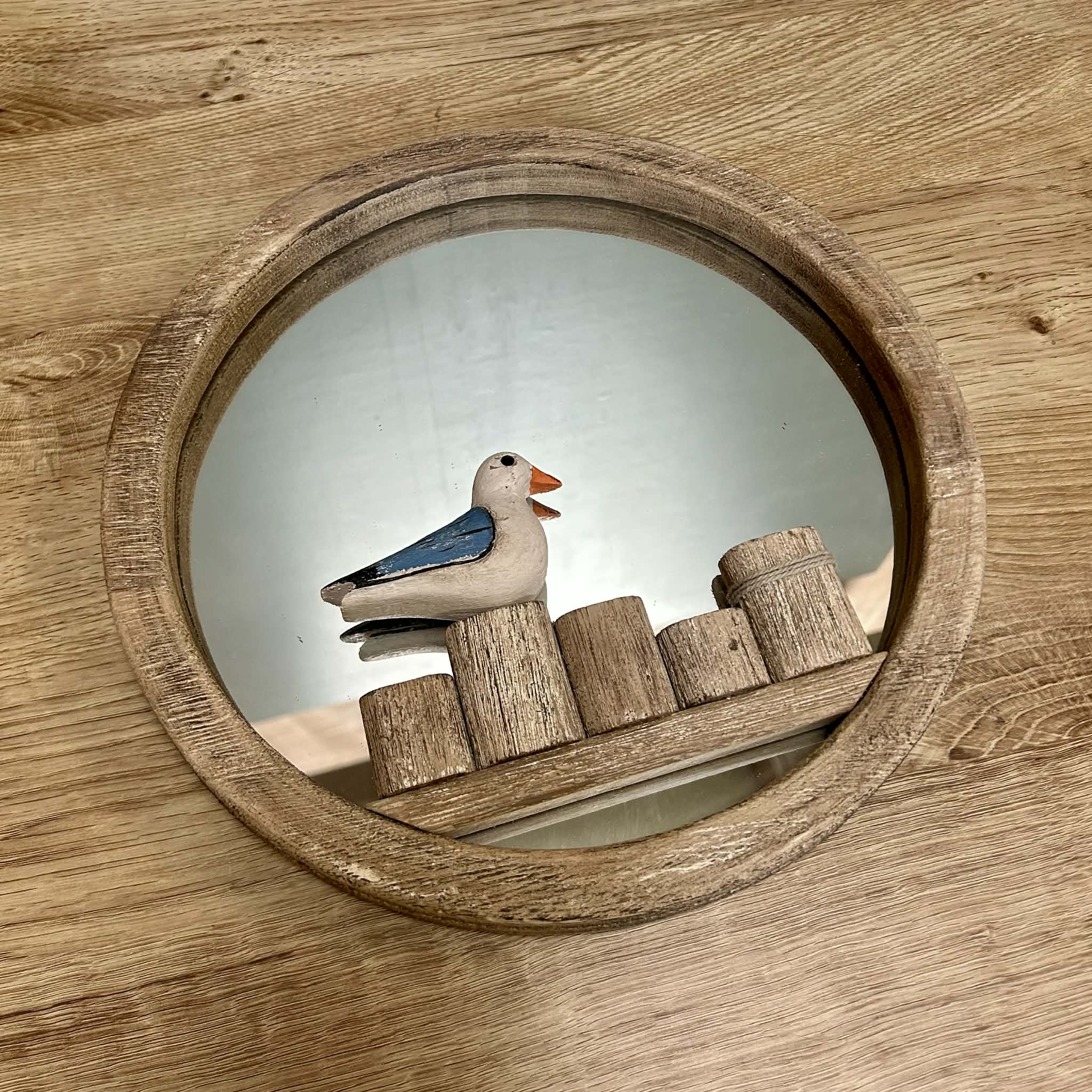 Seagull Mirror