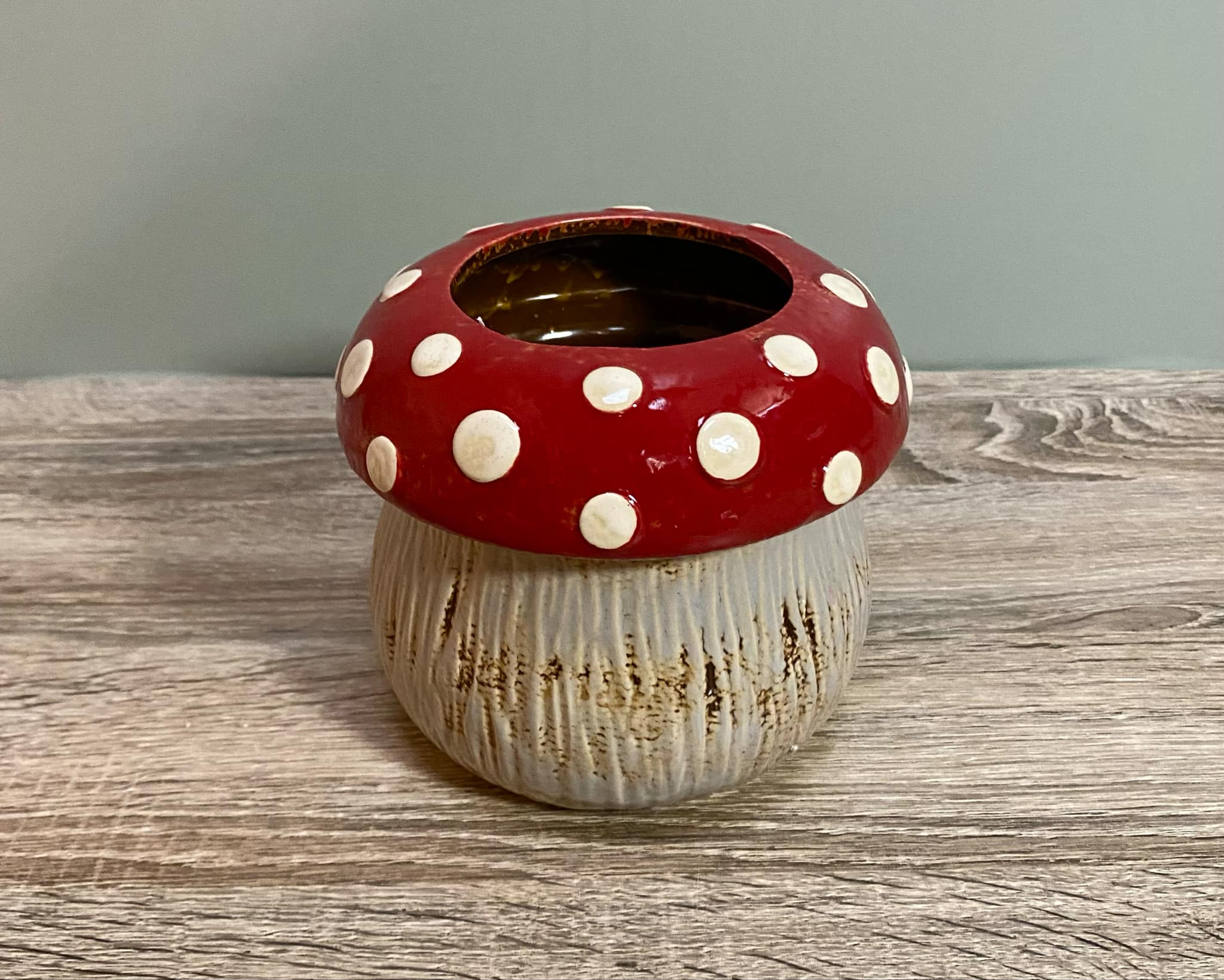 Fairy Toadstool Planter