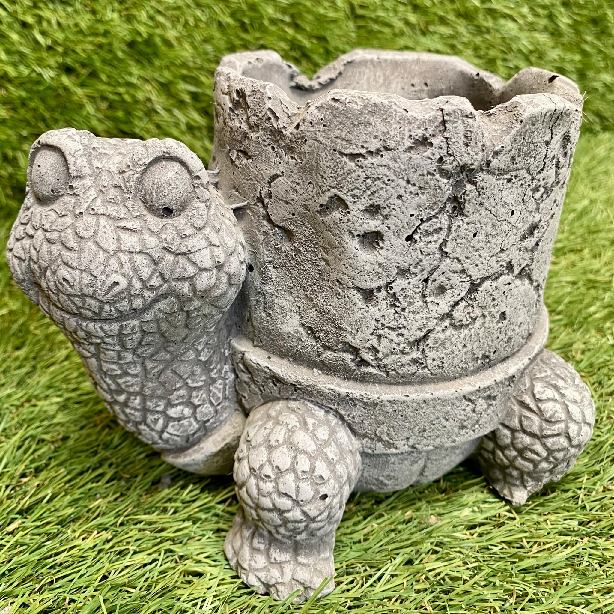Tortoise Planter