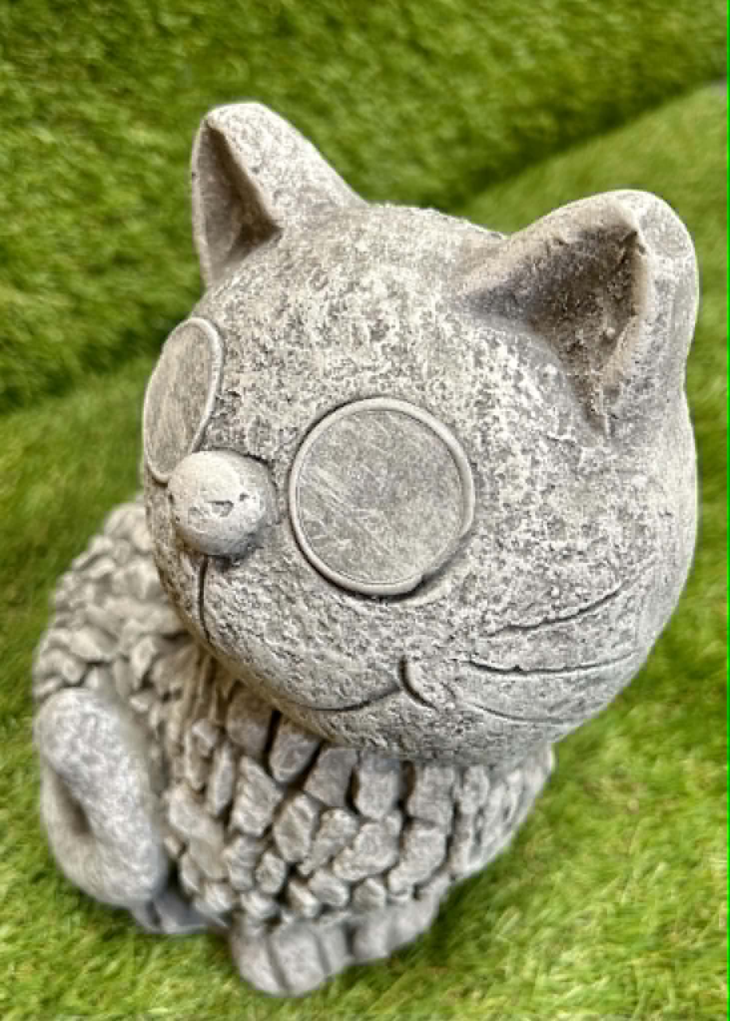 Cat (Big Eyes)