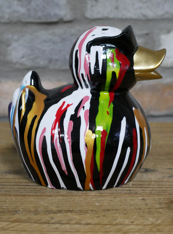 Small Multi Coloured Cool Duck