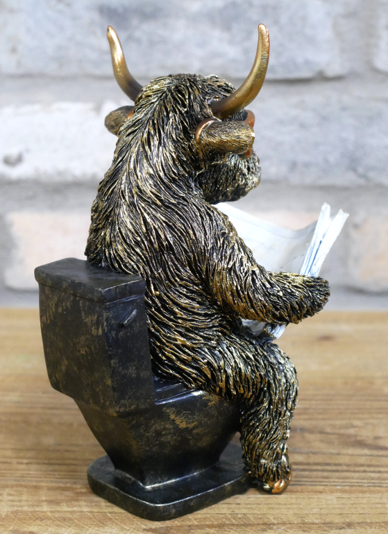 Highland Cow Sat on the Loo