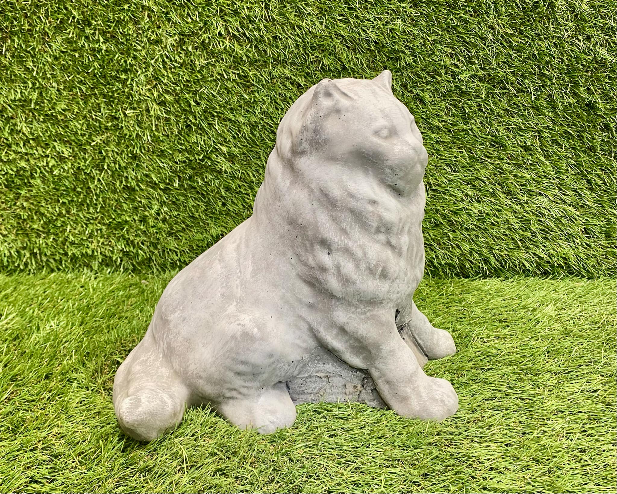 Large Persian Cat