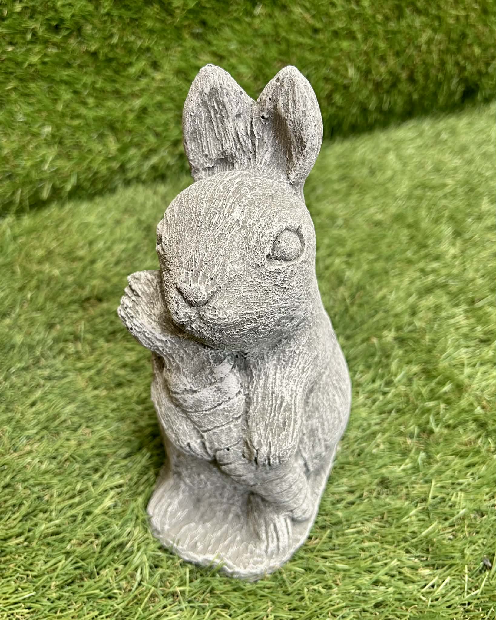 Rabbit With Carrot